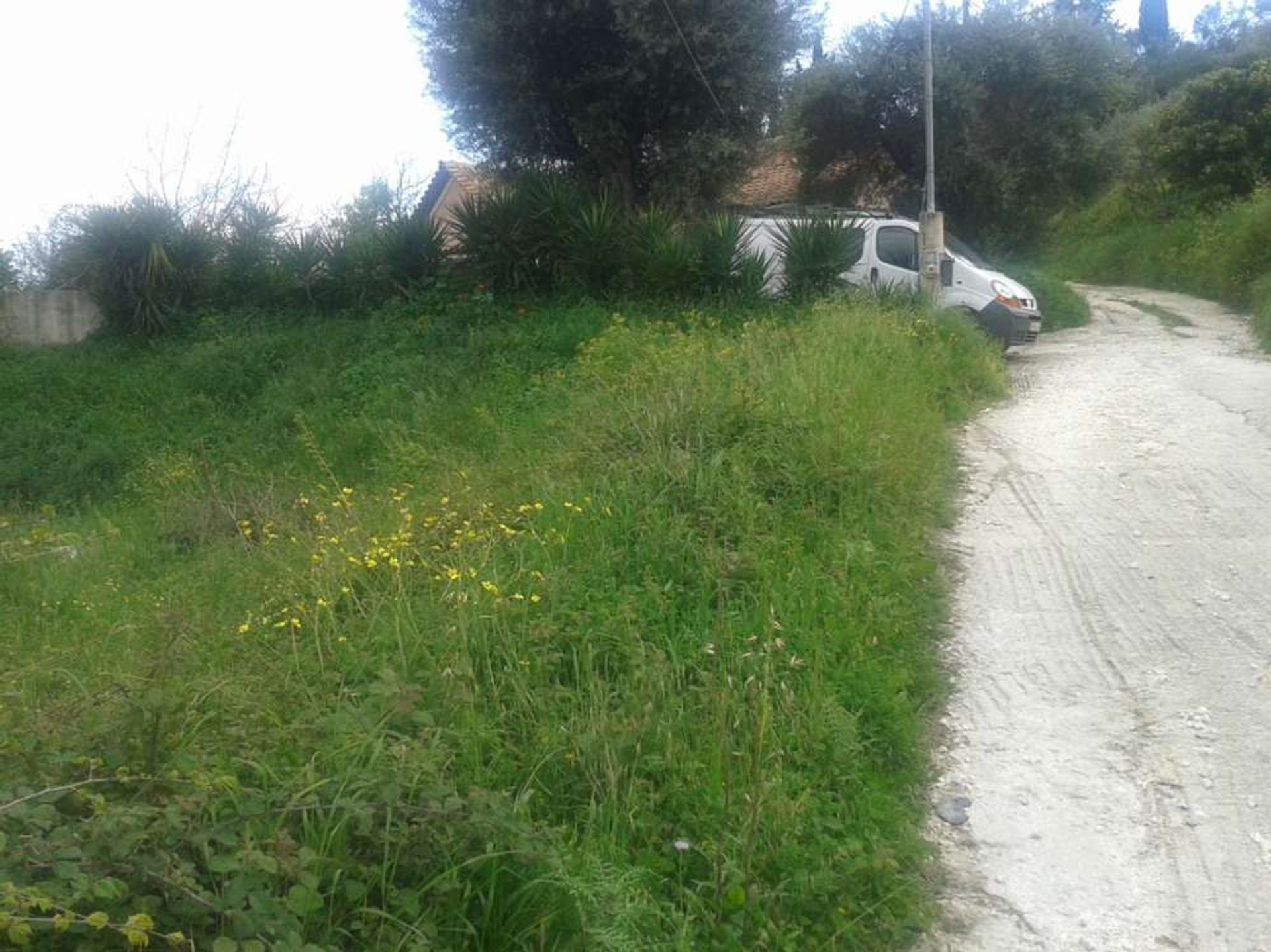 Land in Bochali, Ionia Nisia 10087666