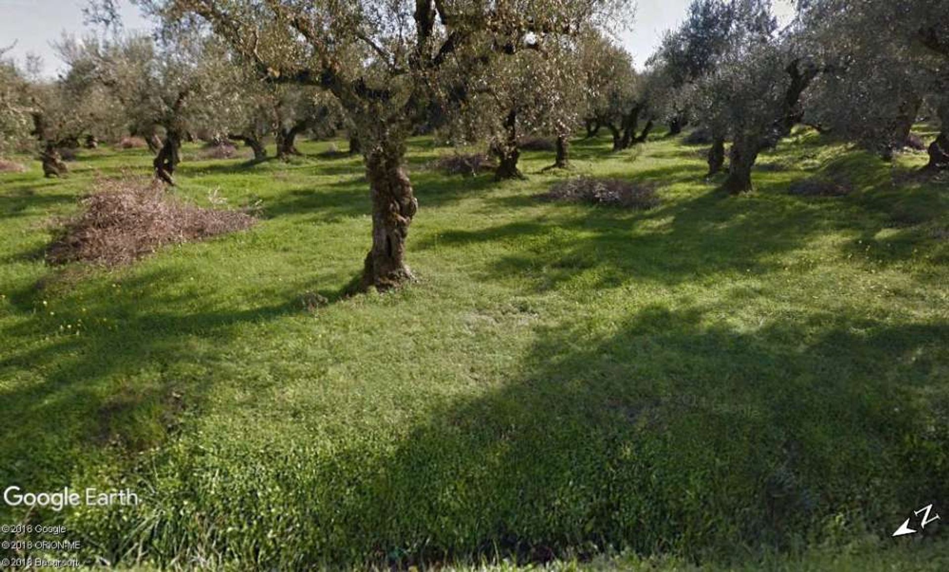 ארץ ב Zakynthos, Zakinthos 10087667