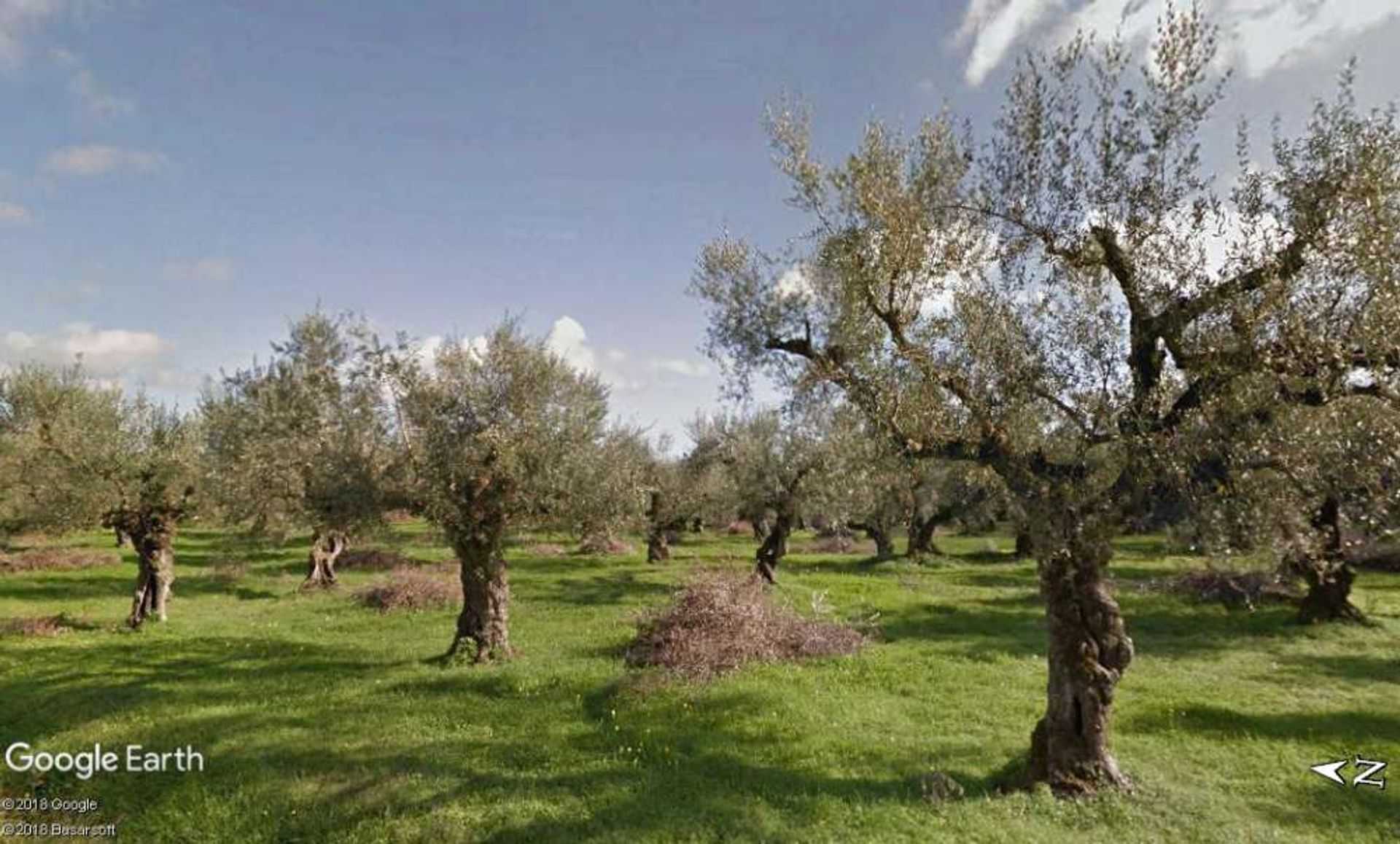 ארץ ב Zakynthos, Zakinthos 10087667