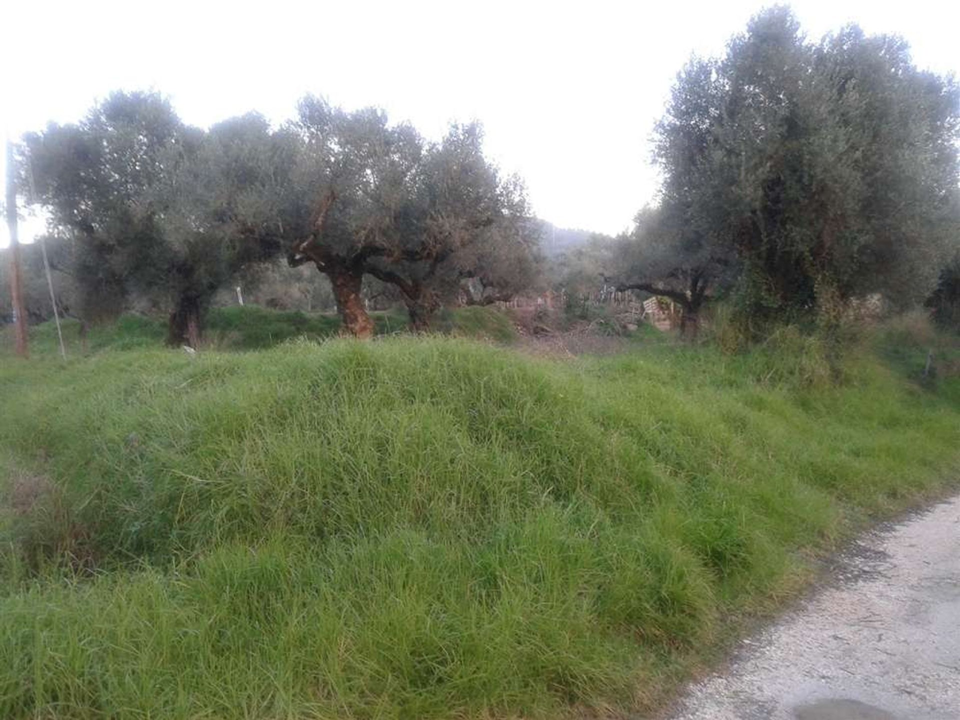 Tierra en Zakynthos, Zakinthos 10087669