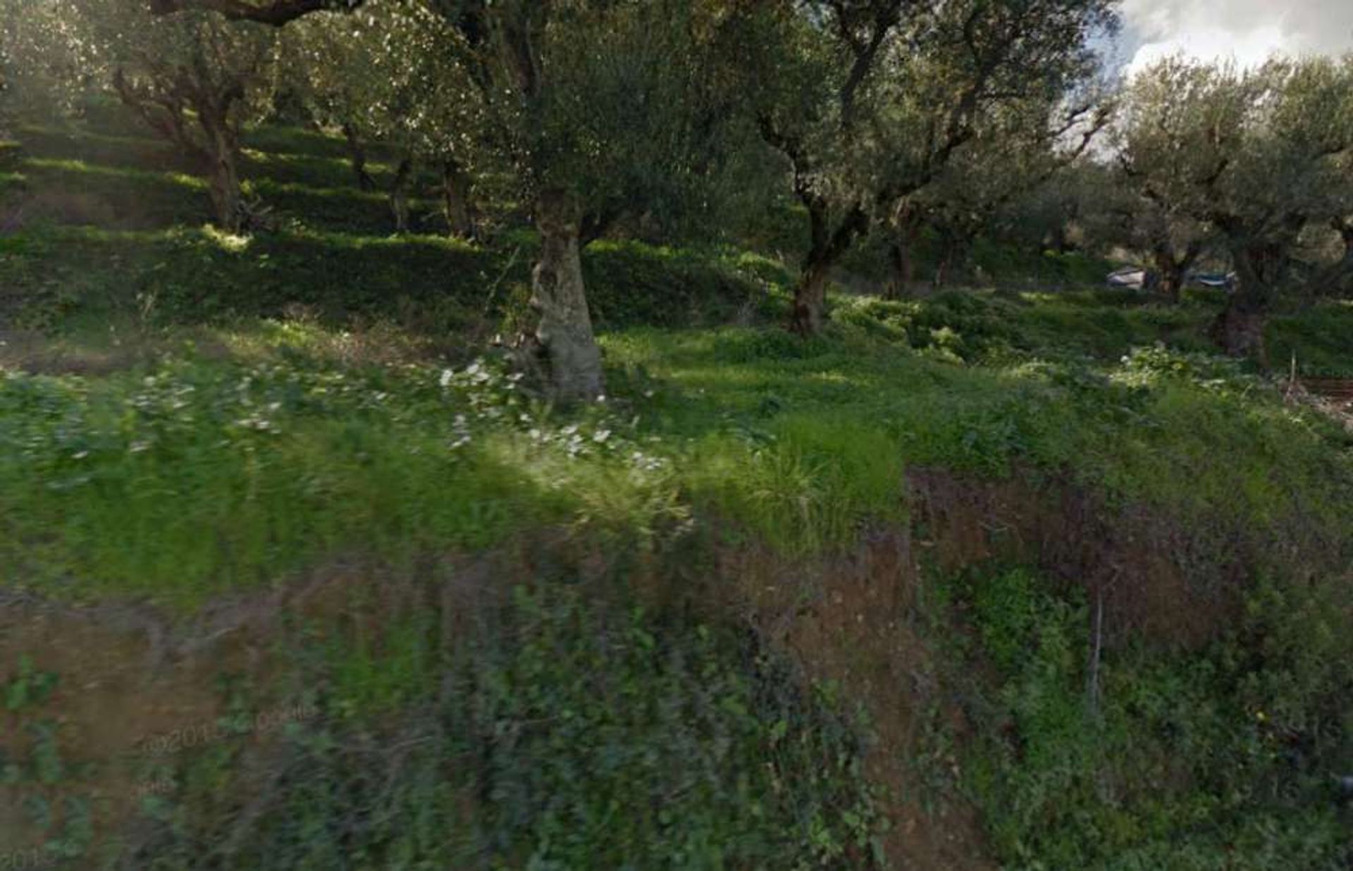 Land in Bochali, Ionia Nisia 10087670