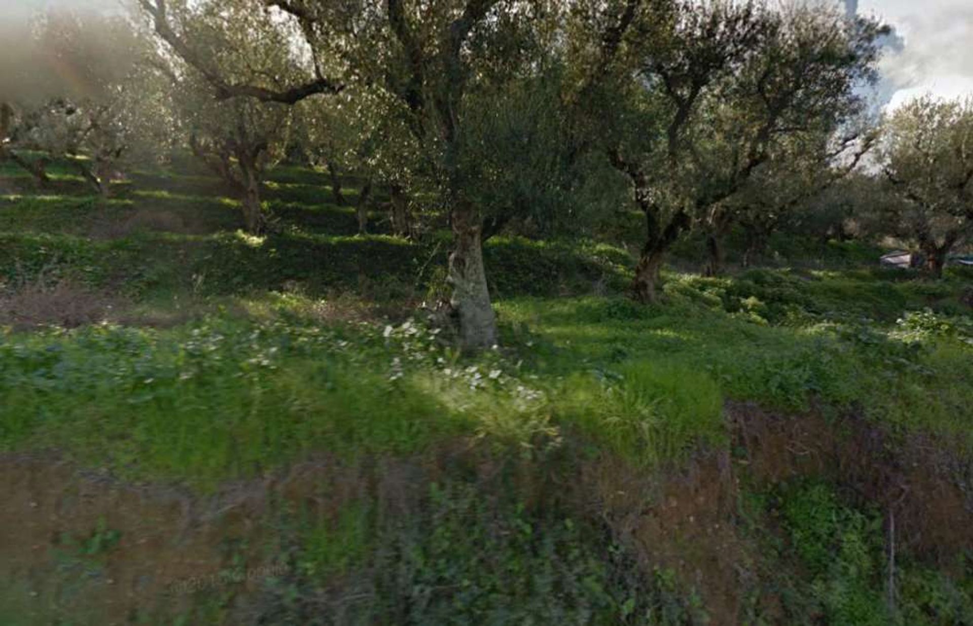 Land in Zakynthos, Zakinthos 10087670