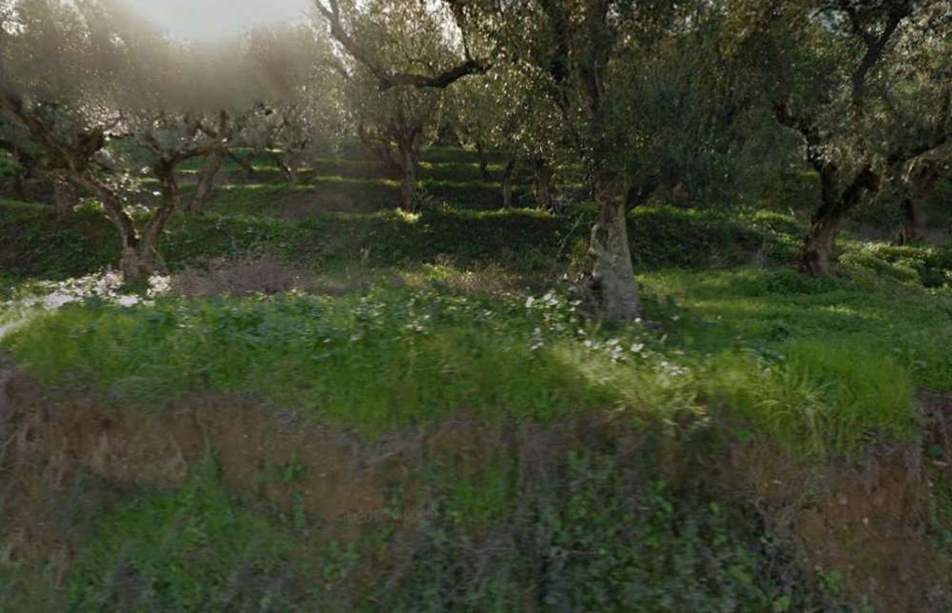 Land in Zakynthos, Zakinthos 10087670