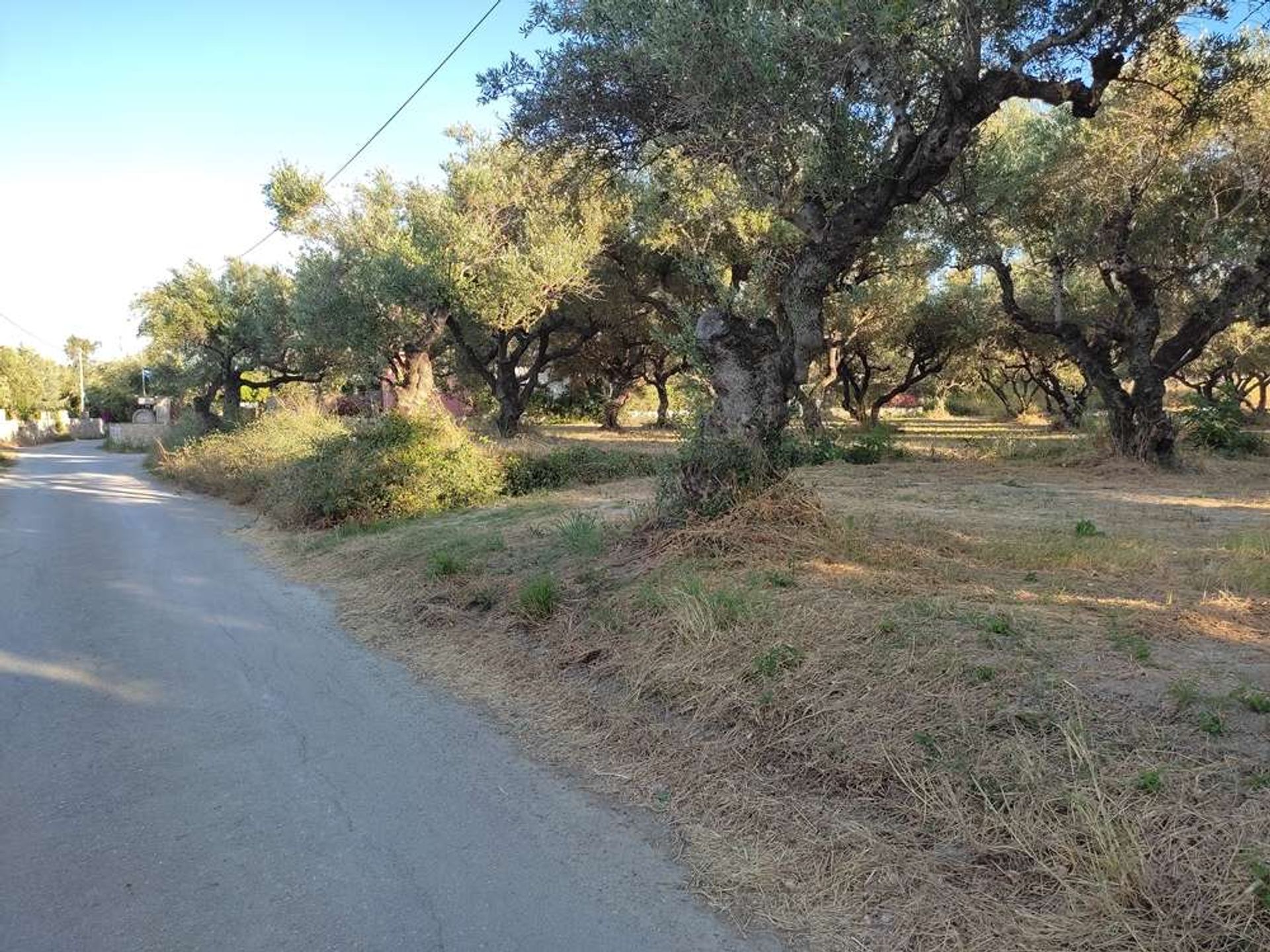 Maa sisään Zakynthos, Zakinthos 10087675