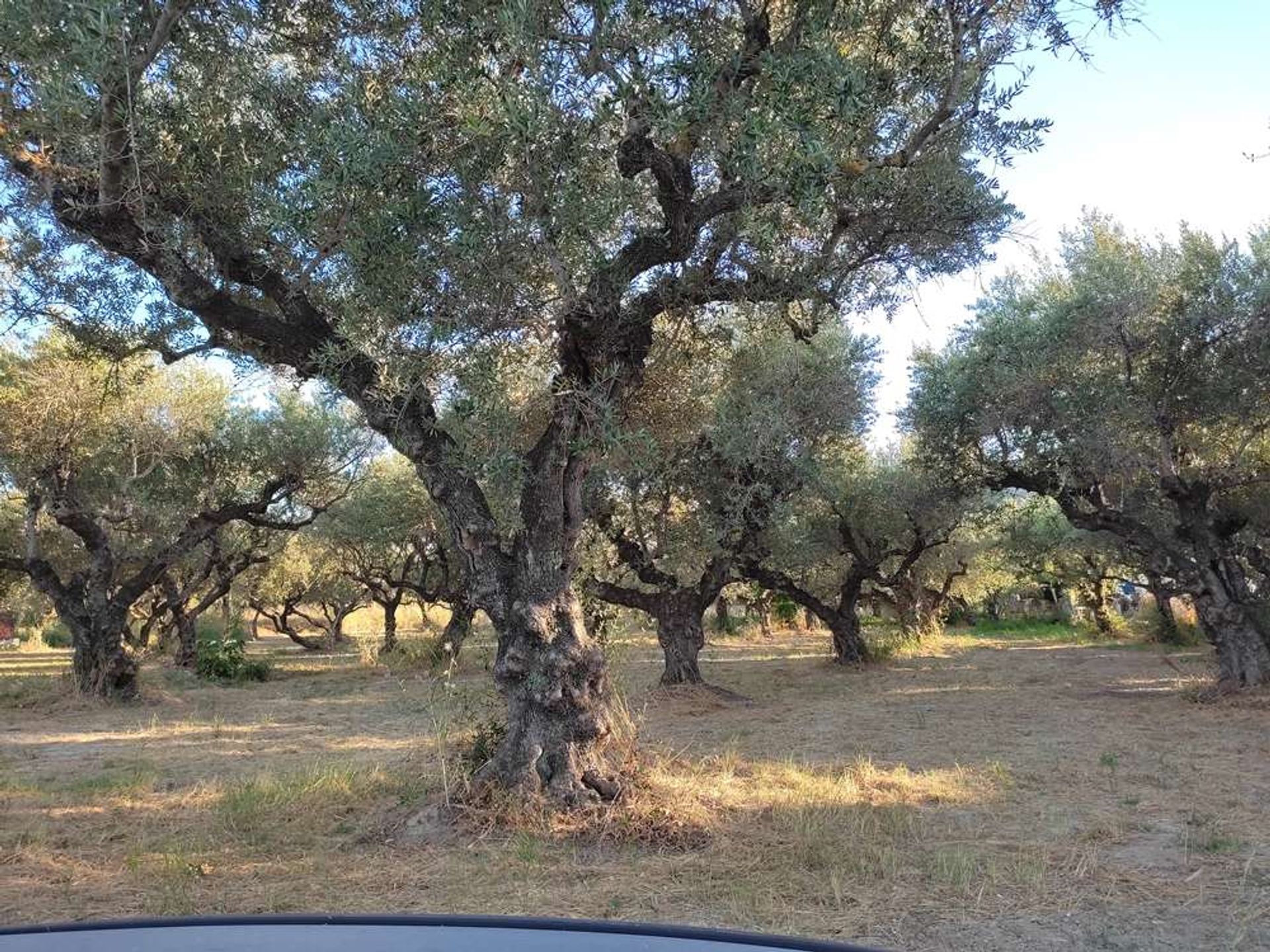 Земельные участки в Zakynthos, Zakinthos 10087675