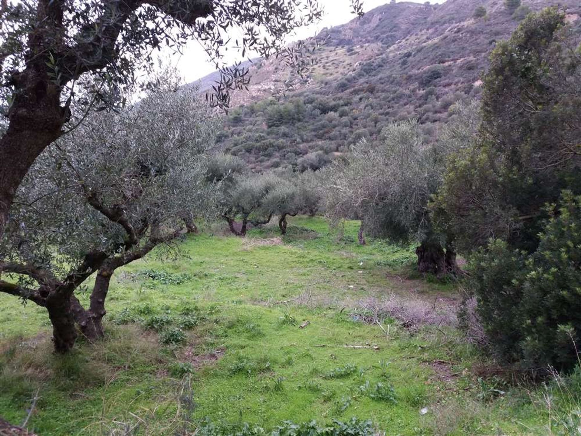 Tierra en Zakynthos, Zakinthos 10087678