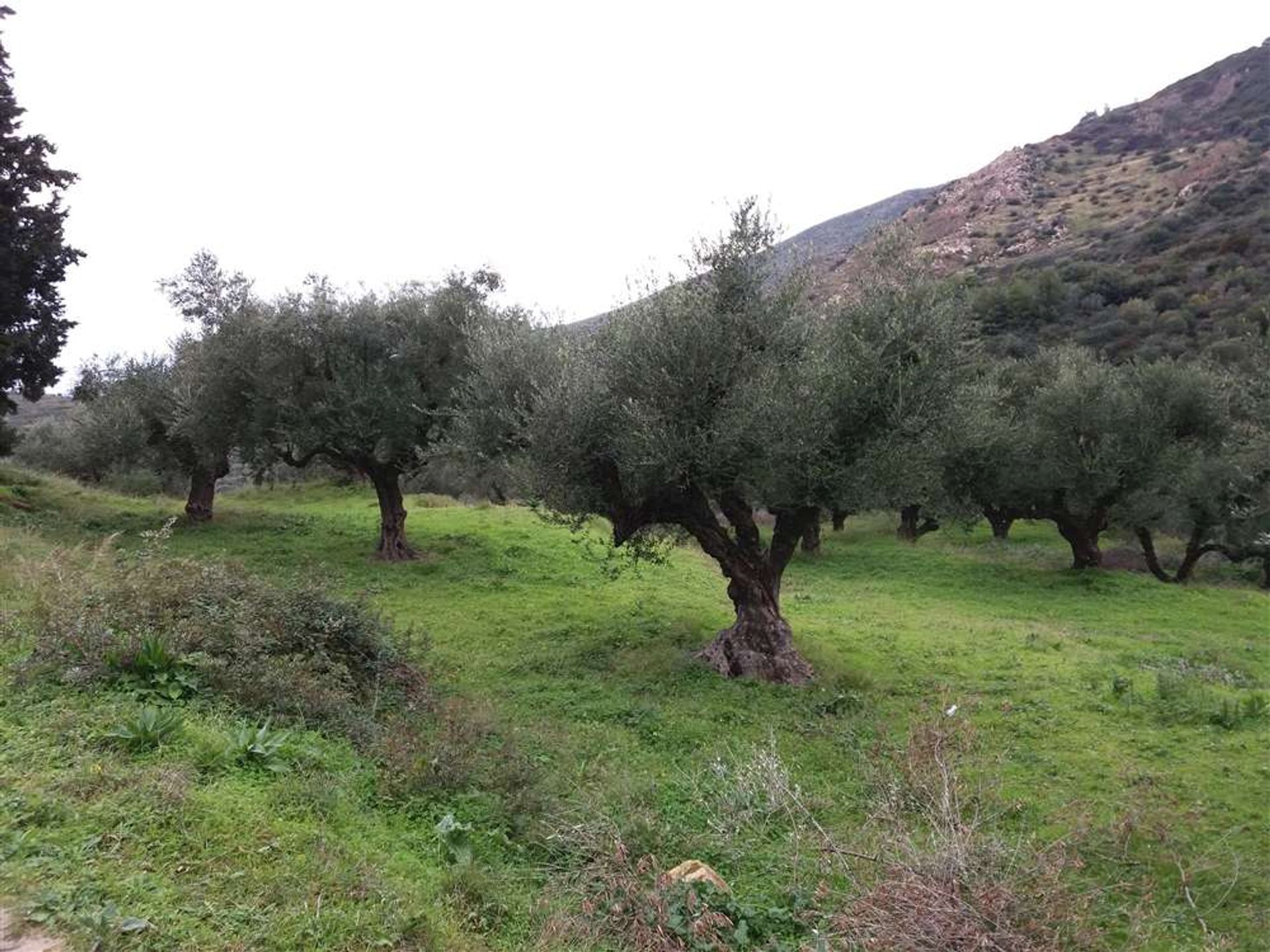 Tierra en Zakynthos, Zakinthos 10087678