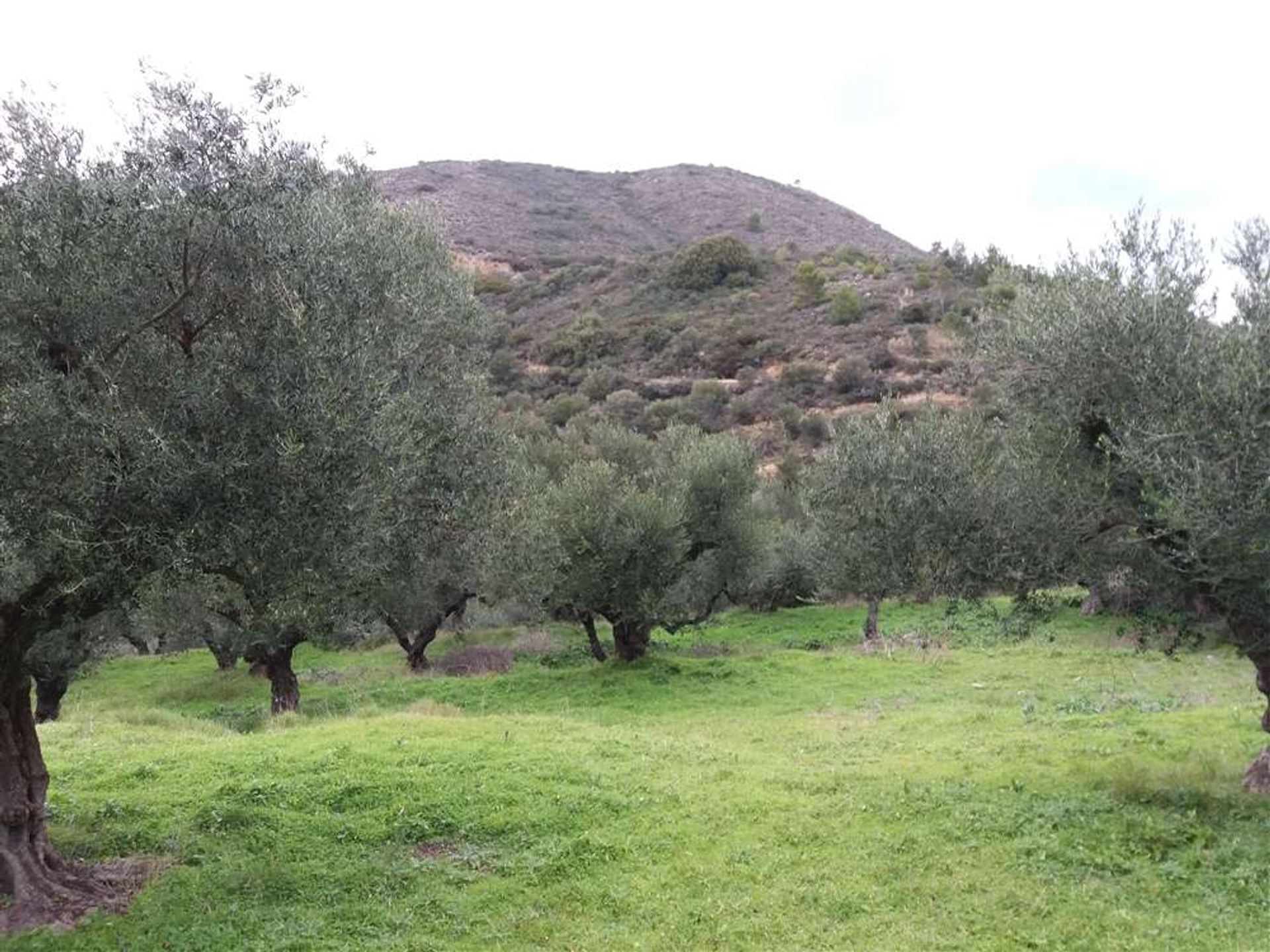 Tierra en Zakynthos, Zakinthos 10087678