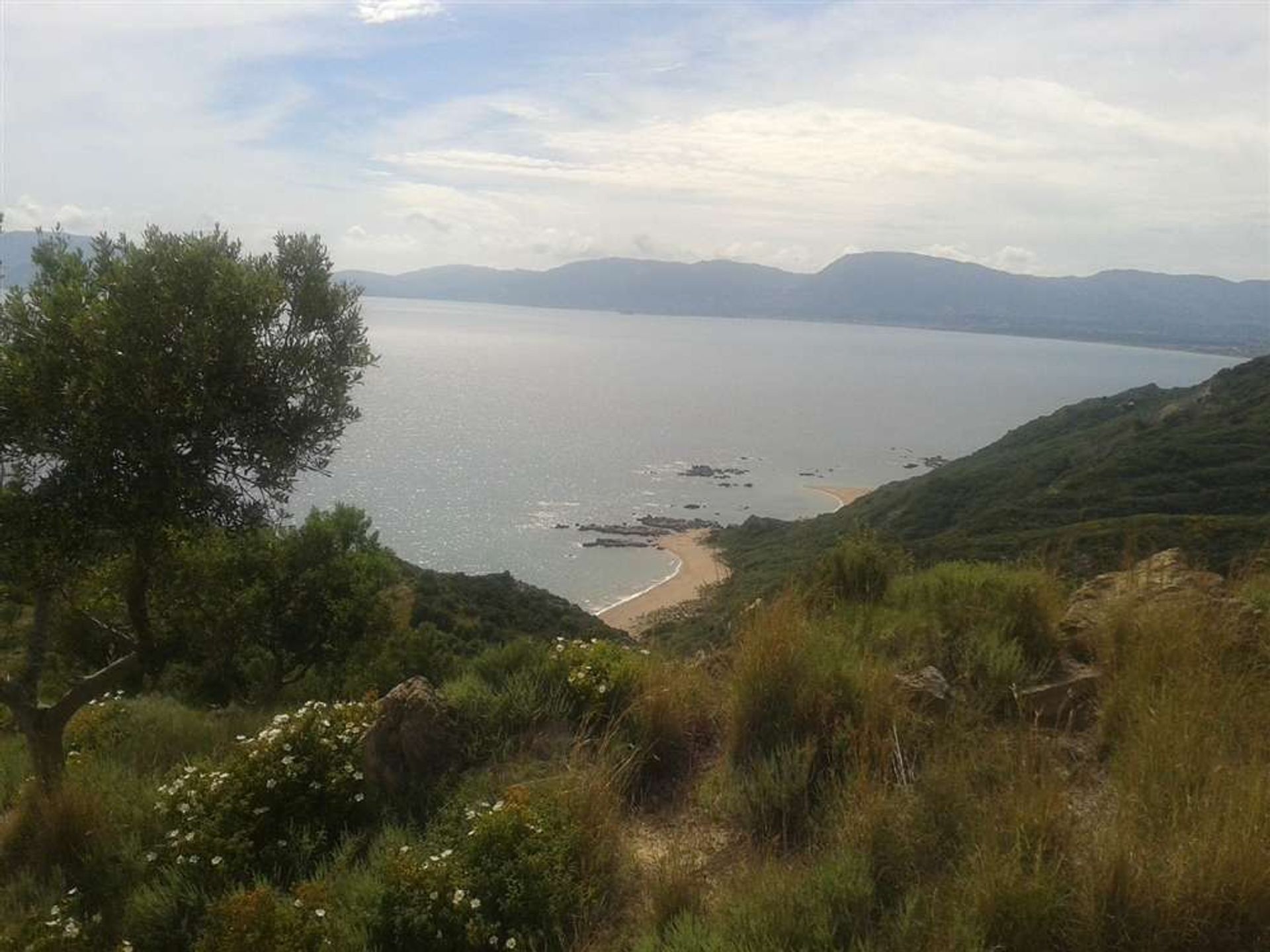 Land i Vasilikos, Zakinthos 10087680