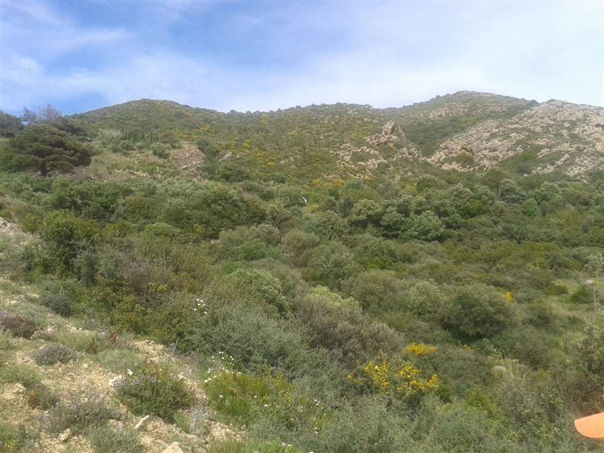 Land i Vasilikos, Zakinthos 10087680