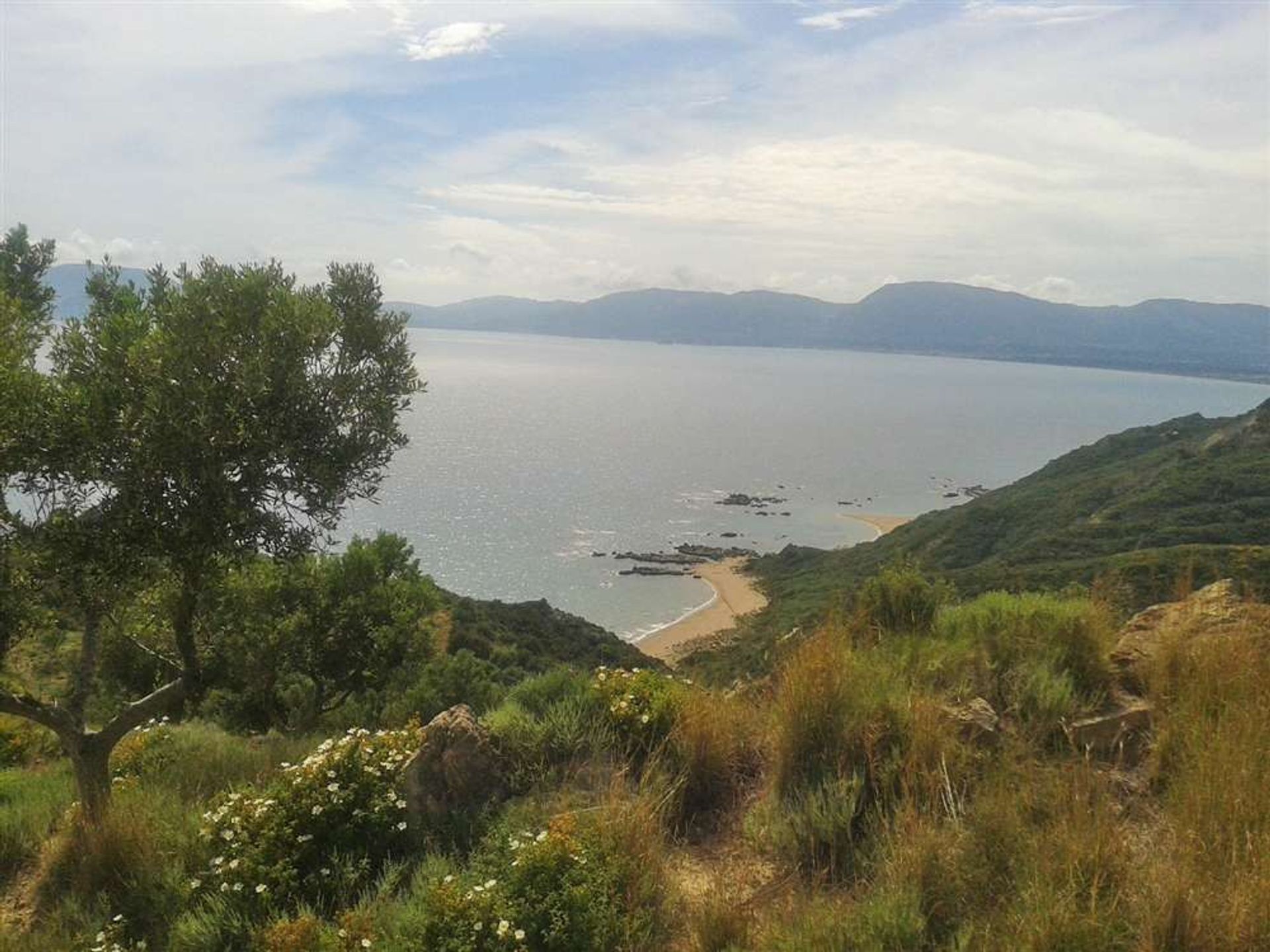 Land i Vasilikos, Zakinthos 10087680