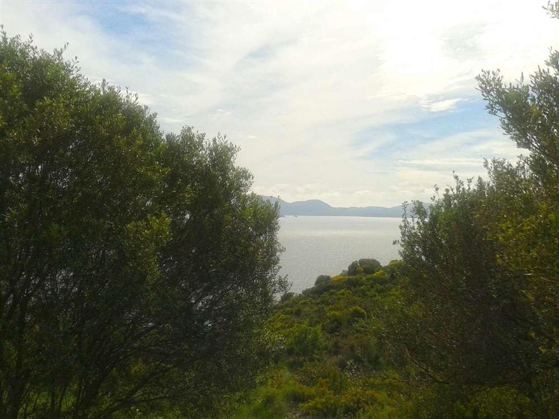 Land i Vasilikos, Zakinthos 10087680