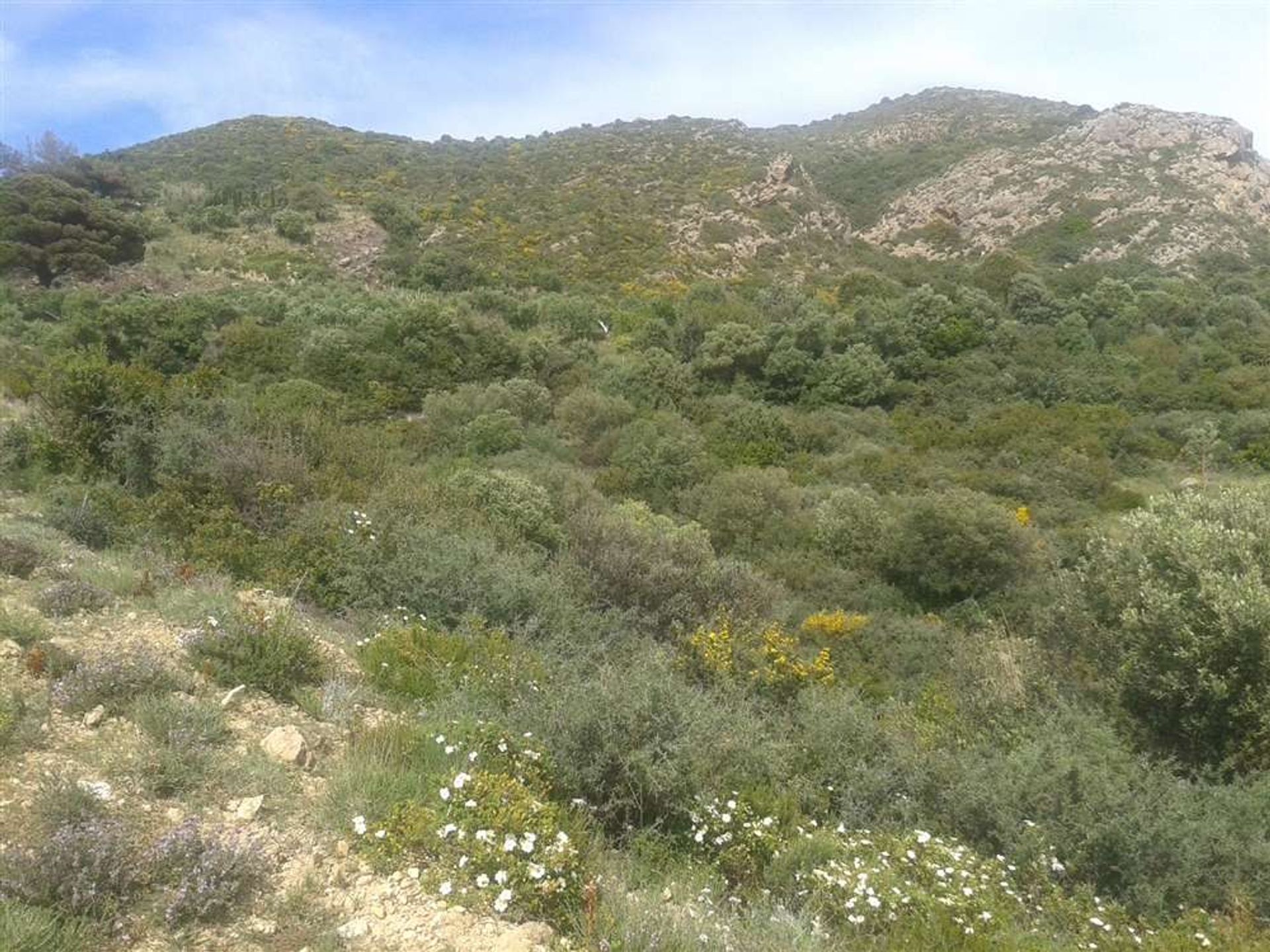 Land i Vasilikos, Zakinthos 10087680