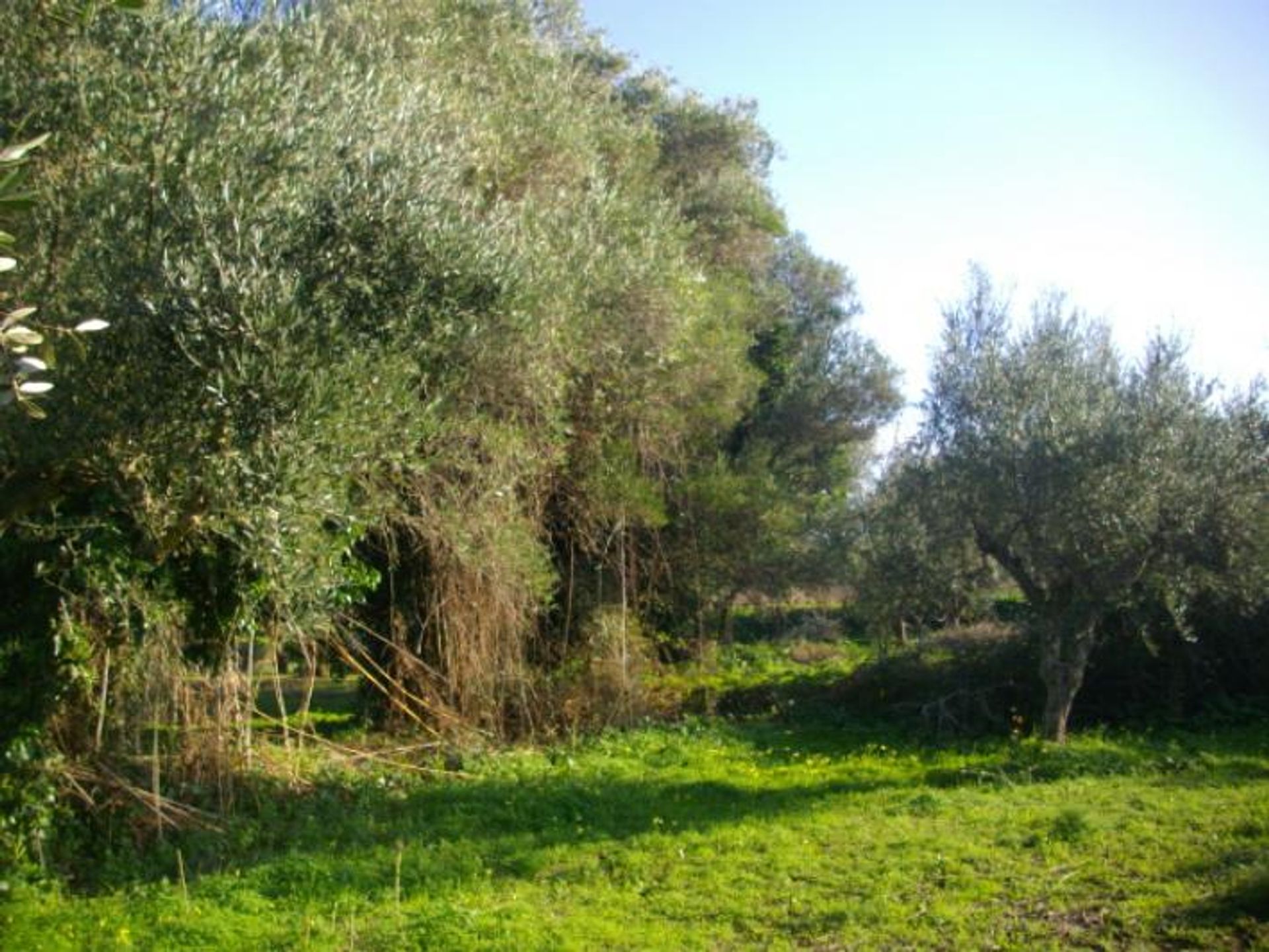 Jord i Zakynthos, Zakinthos 10087681