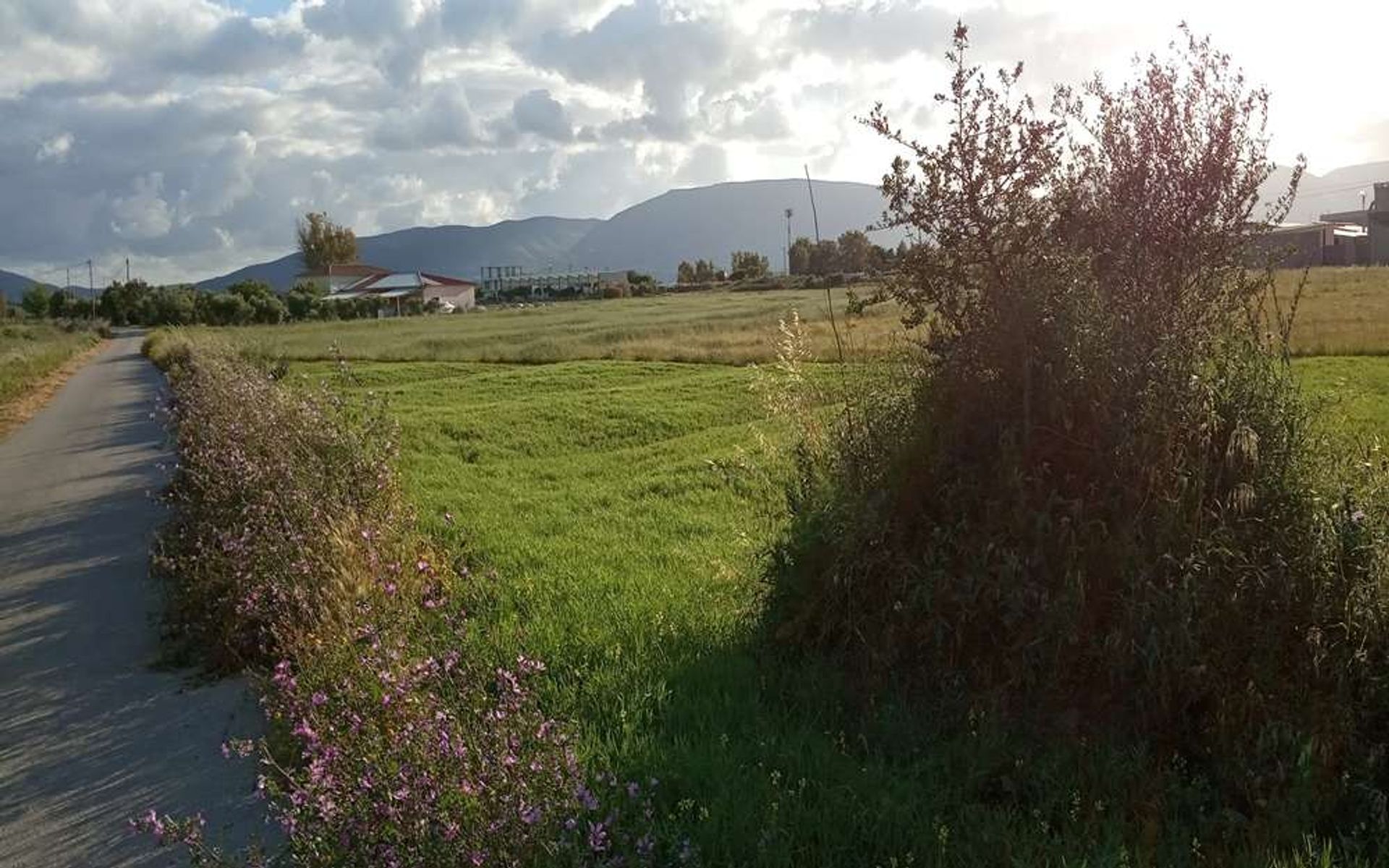 Tierra en bochalí, Jonia Nisia 10087682