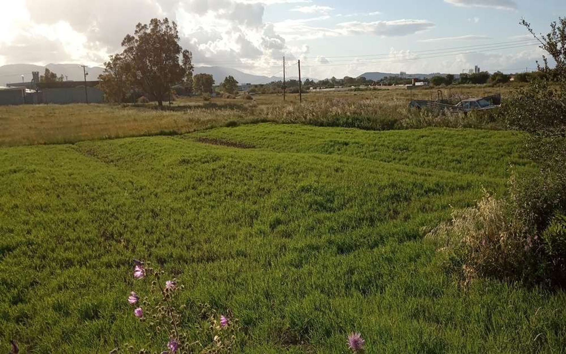 Tierra en bochalí, Jonia Nisia 10087682