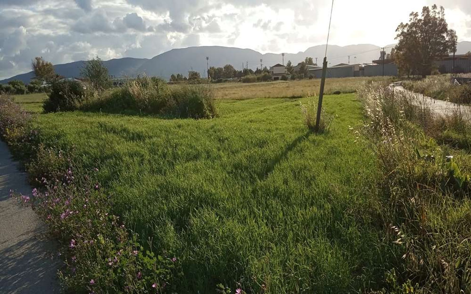 Tierra en bochalí, Jonia Nisia 10087682