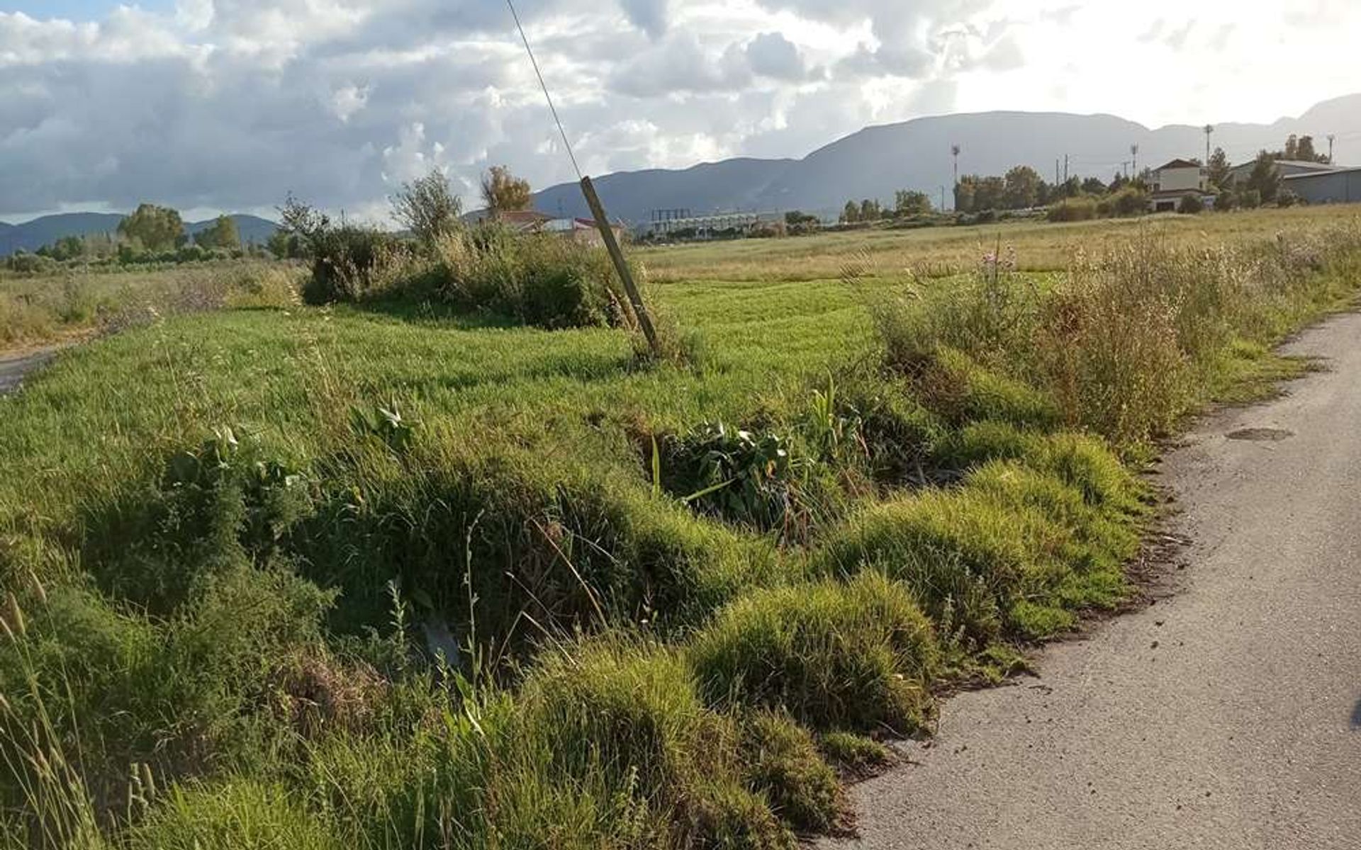 Tierra en bochalí, Jonia Nisia 10087682