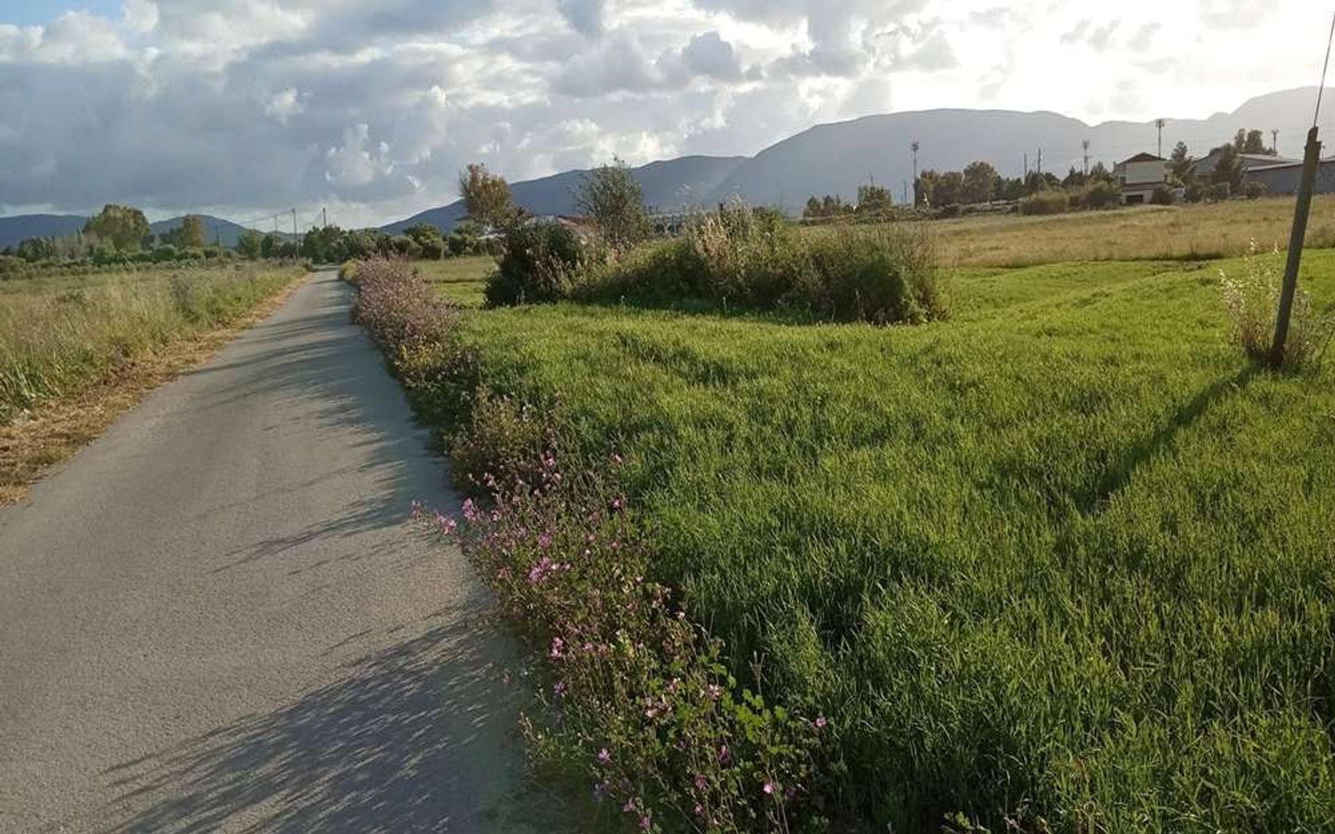 Tanah di Zakynthos, Zakinthos 10087682