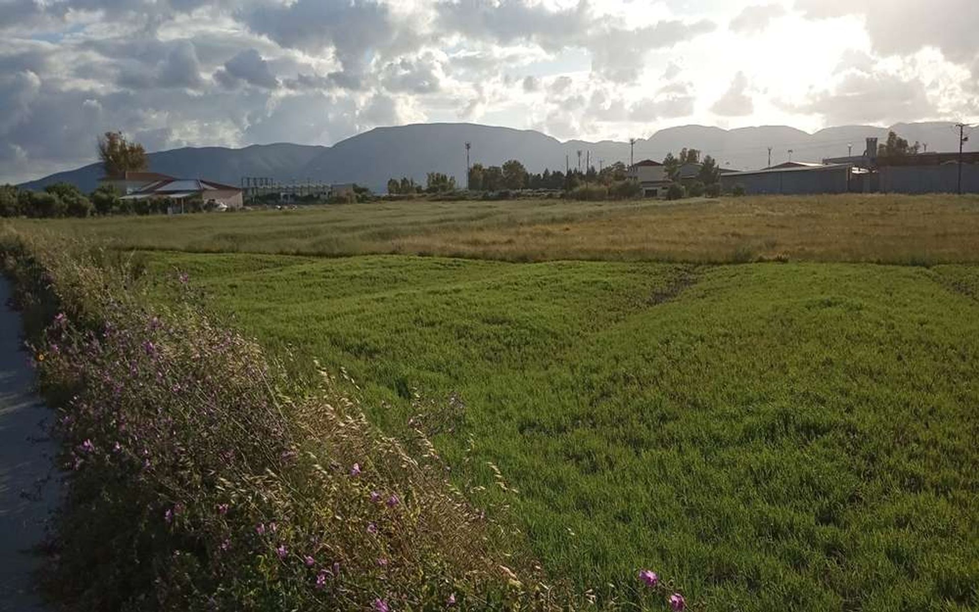 Tanah di Zakynthos, Zakinthos 10087682