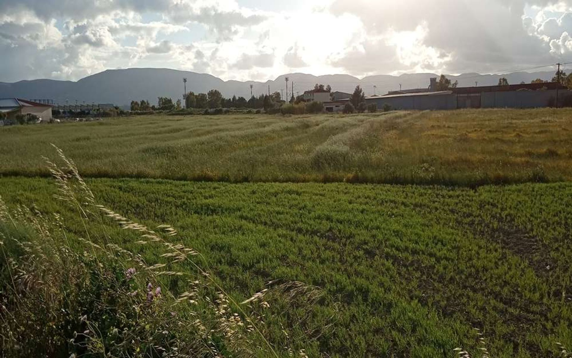 Tanah di Zakynthos, Zakinthos 10087682