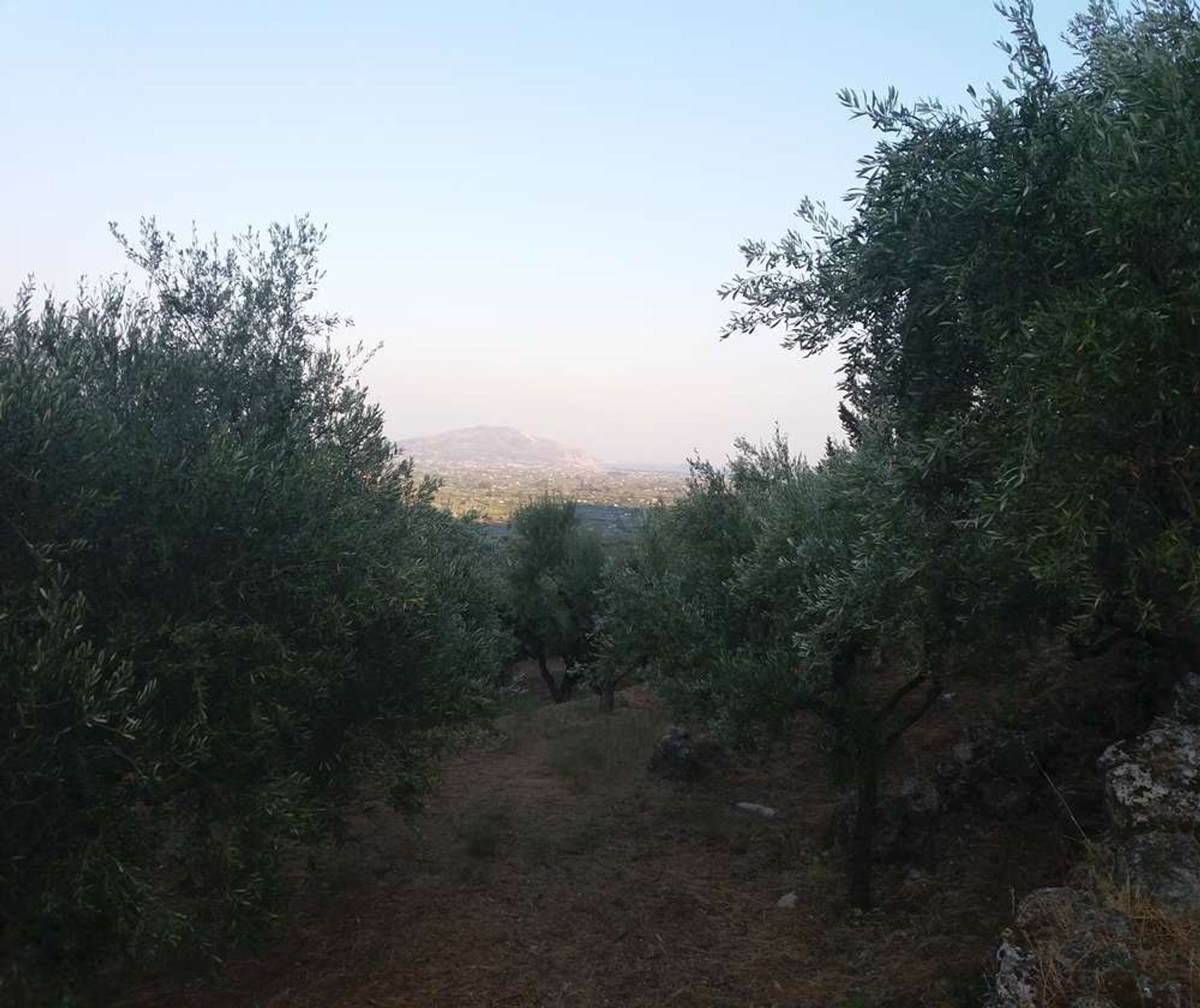 Γη σε Zakynthos, Zakinthos 10087691