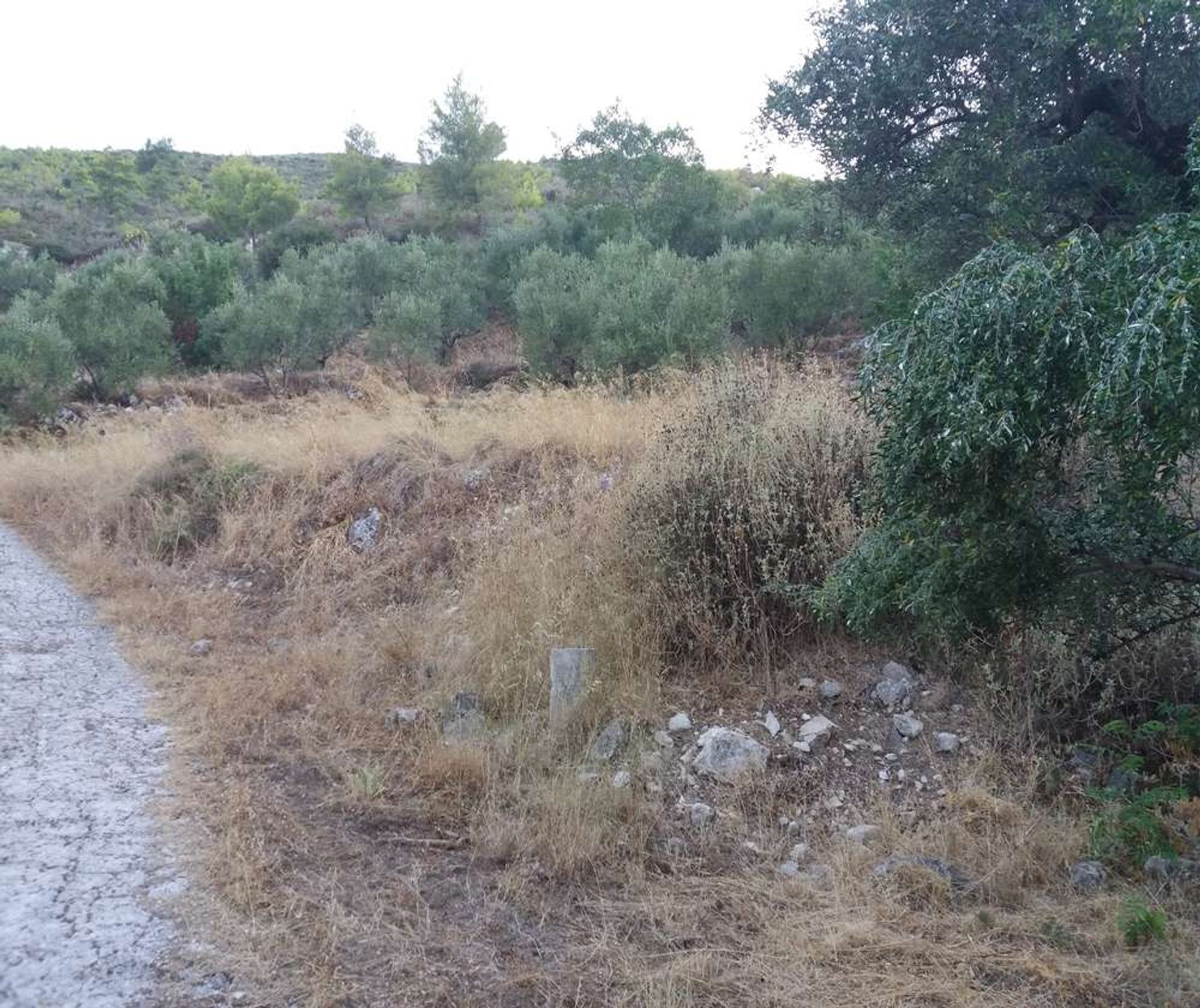 Land in Zakynthos, Zakinthos 10087691