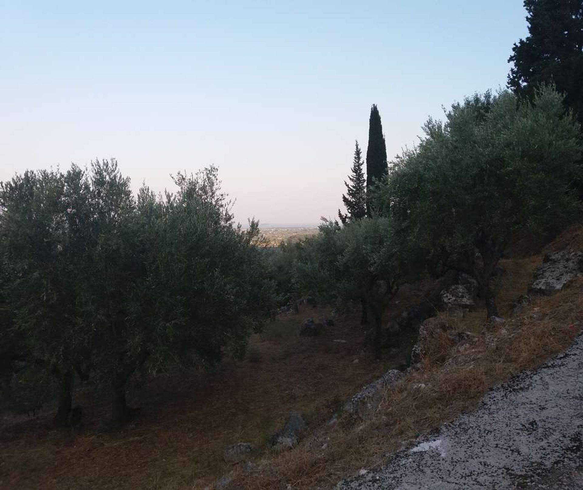 Γη σε Zakynthos, Zakinthos 10087691