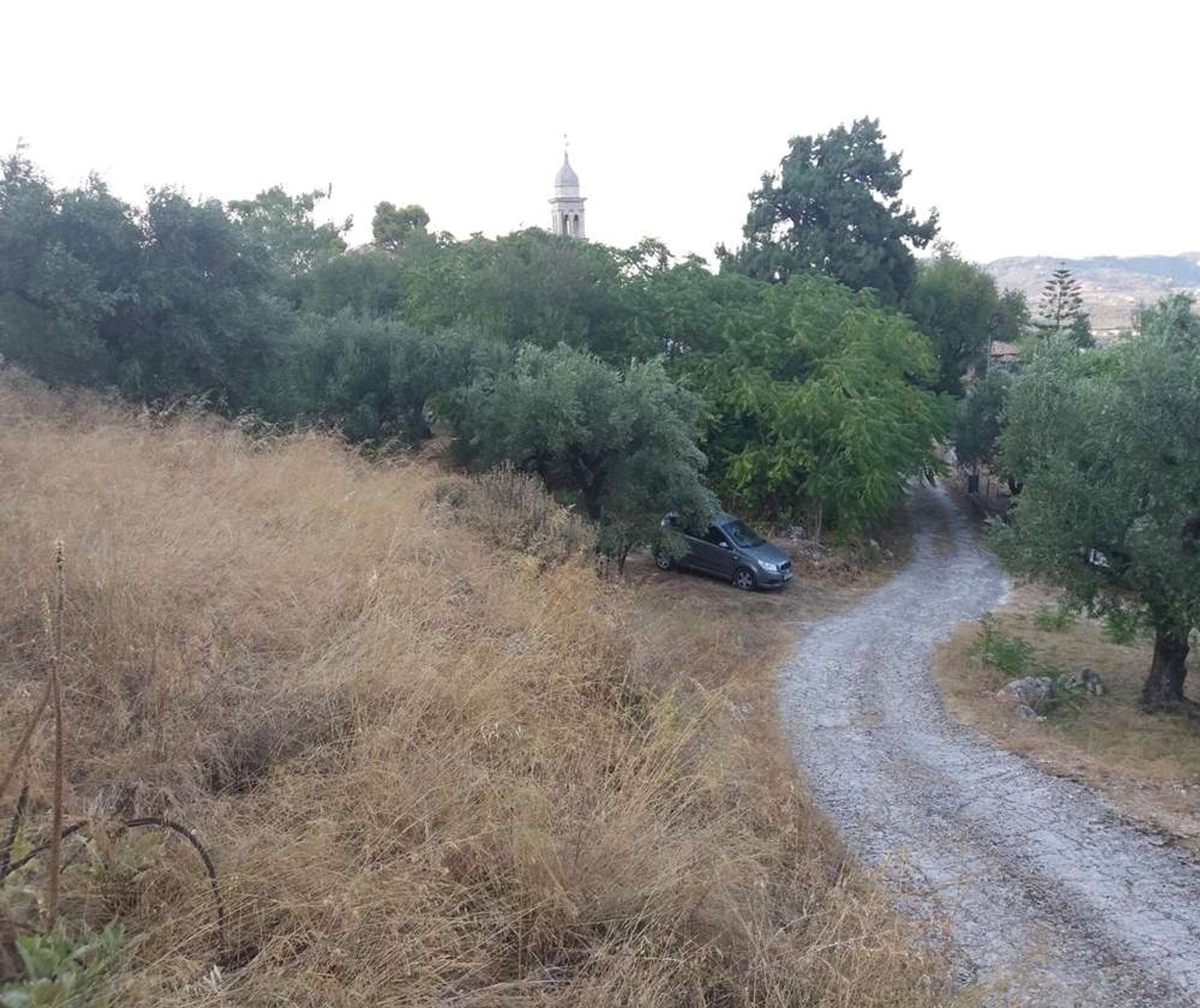 Land in Zakynthos, Zakinthos 10087691