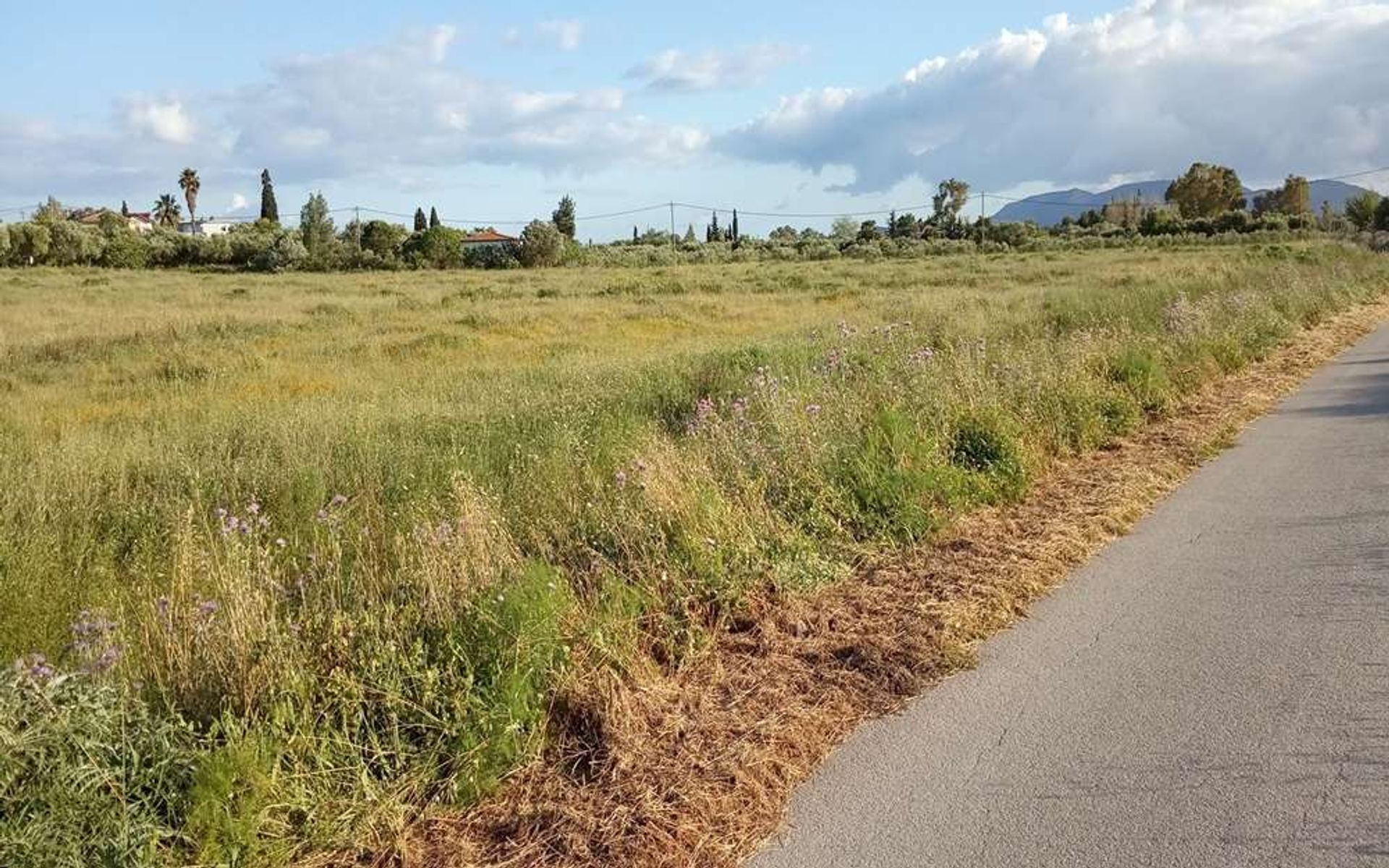 Tierra en bochalí, Jonia Nisia 10087692