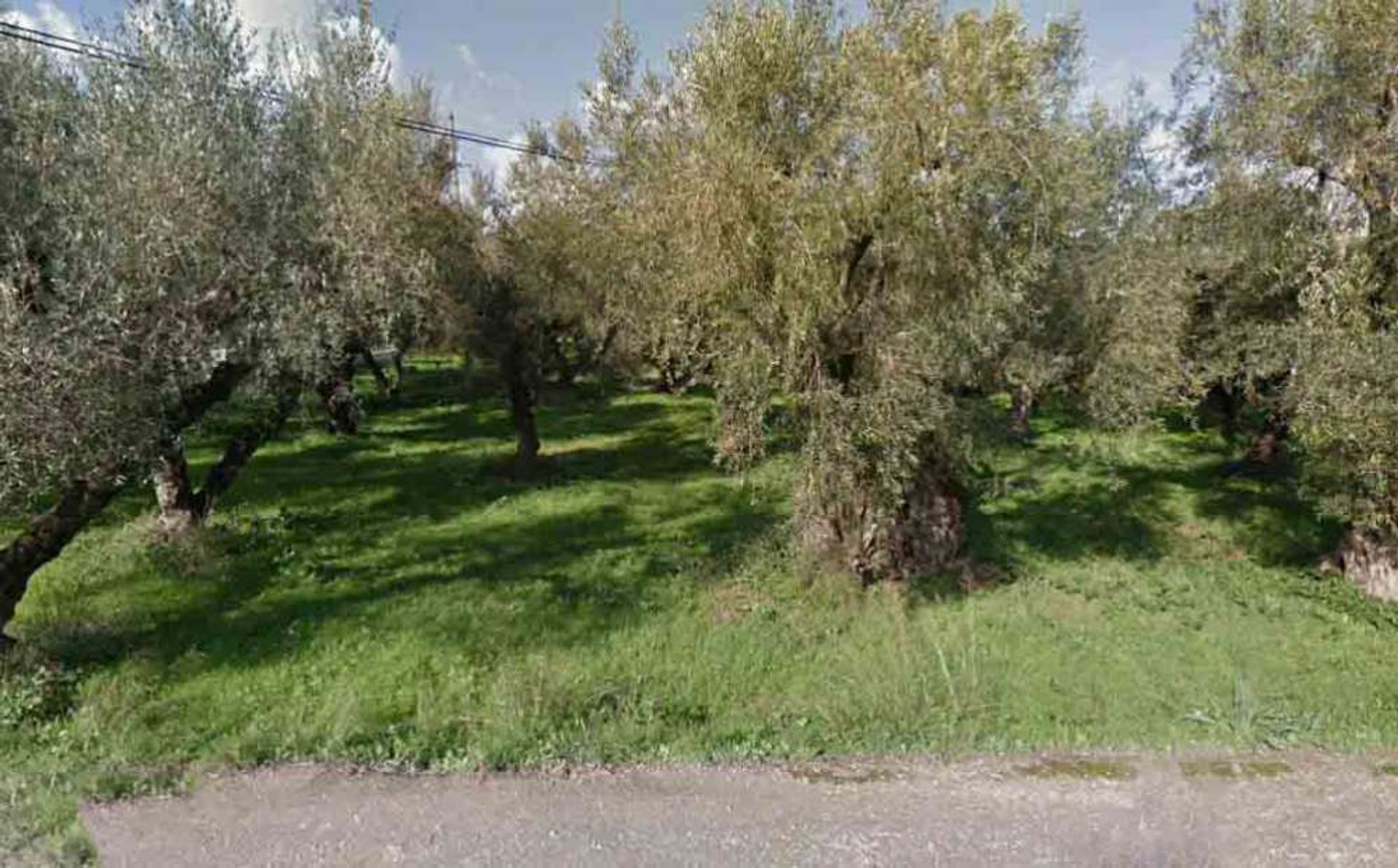 ארץ ב Zakynthos, Zakinthos 10087693