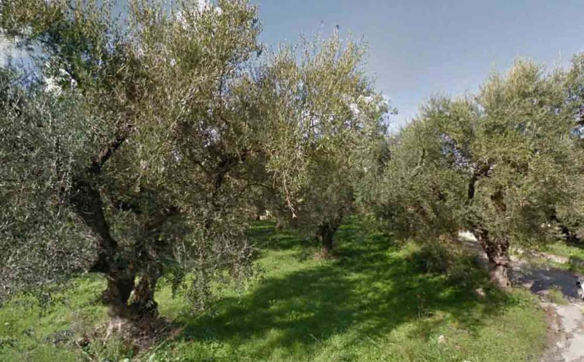 ארץ ב Zakynthos, Zakinthos 10087693