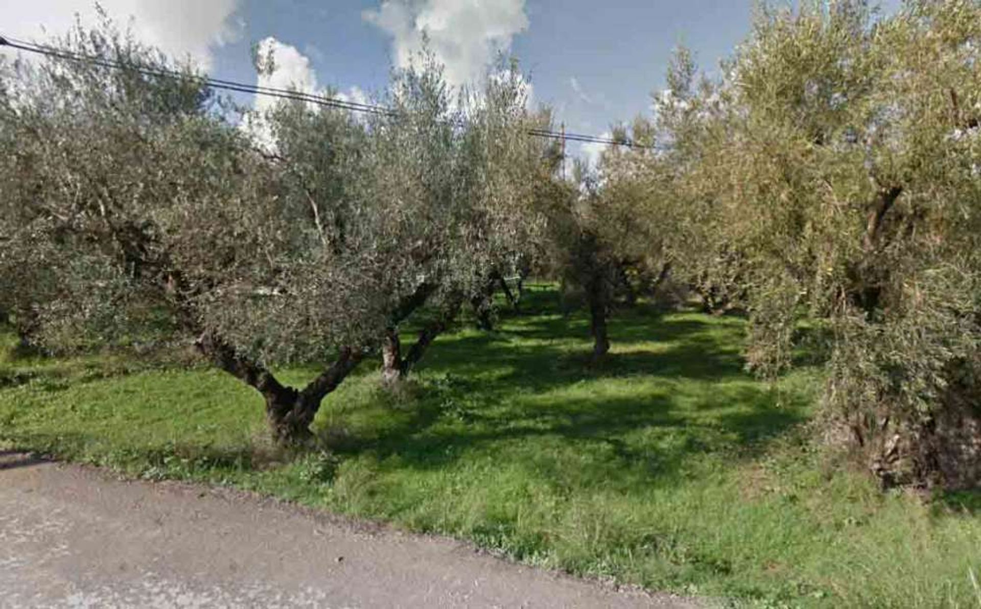 ארץ ב Zakynthos, Zakinthos 10087693