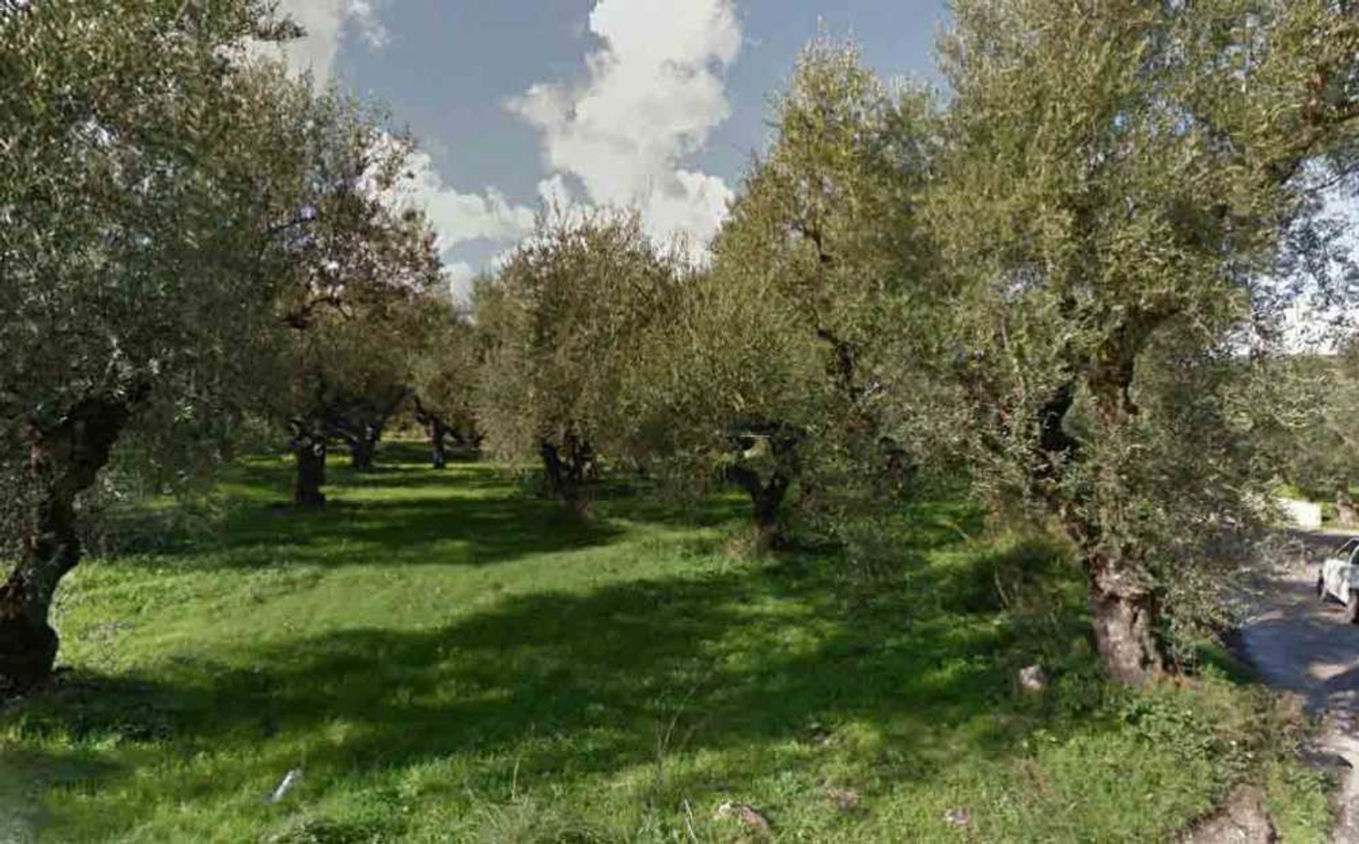 Land i Bochali, Ionia Nisia 10087693