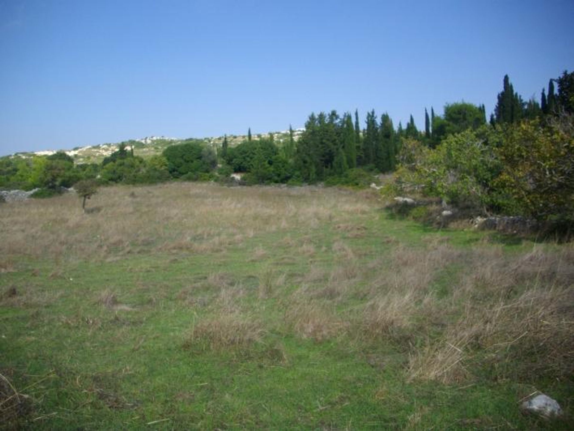 Land im Bochali, Ionia Nisia 10087696