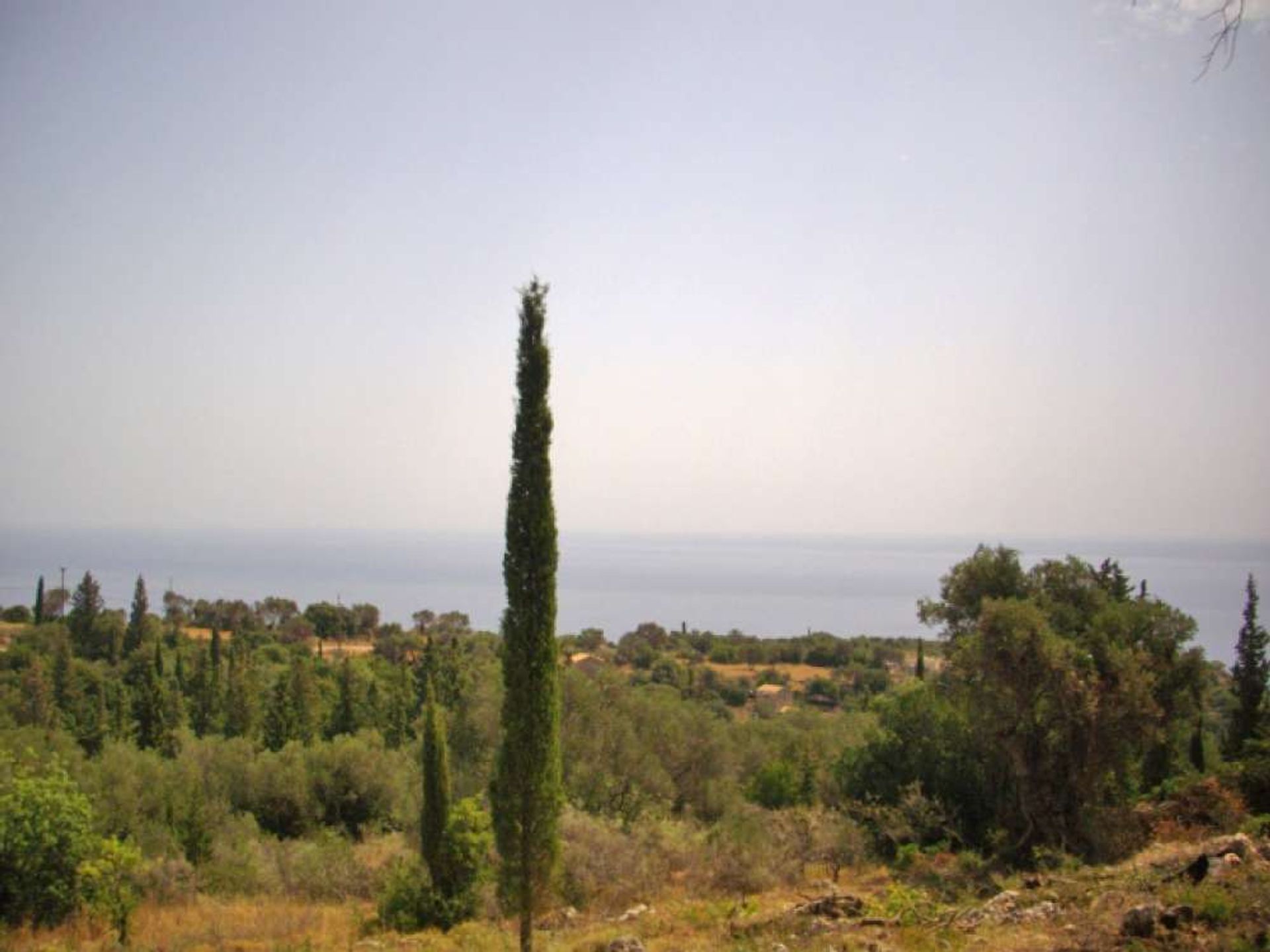 Land im Zakynthos, Zakinthos 10087704