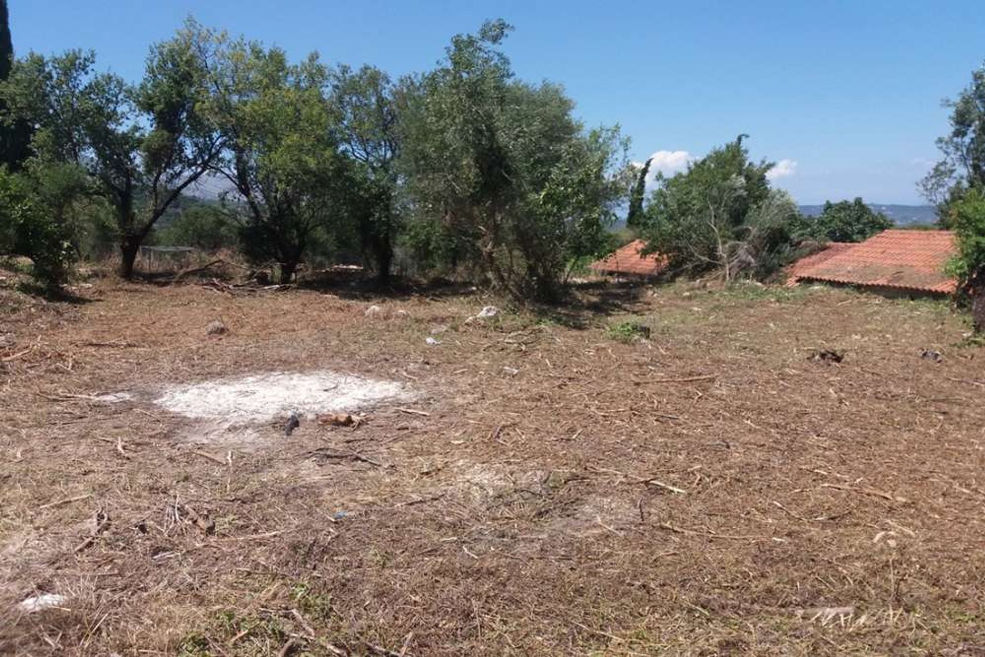 Land in Zakynthos, Zakinthos 10087706