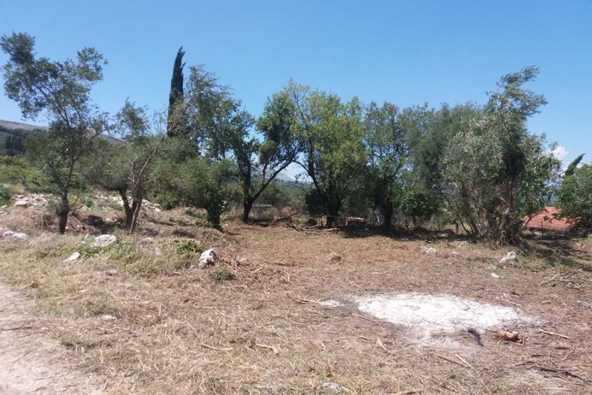 Land in Zakynthos, Zakinthos 10087706