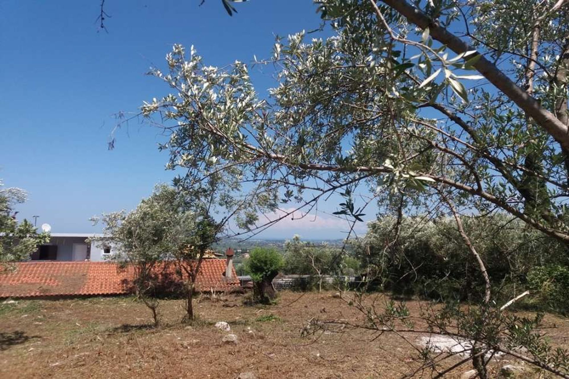 Land in Zakynthos, Zakinthos 10087706