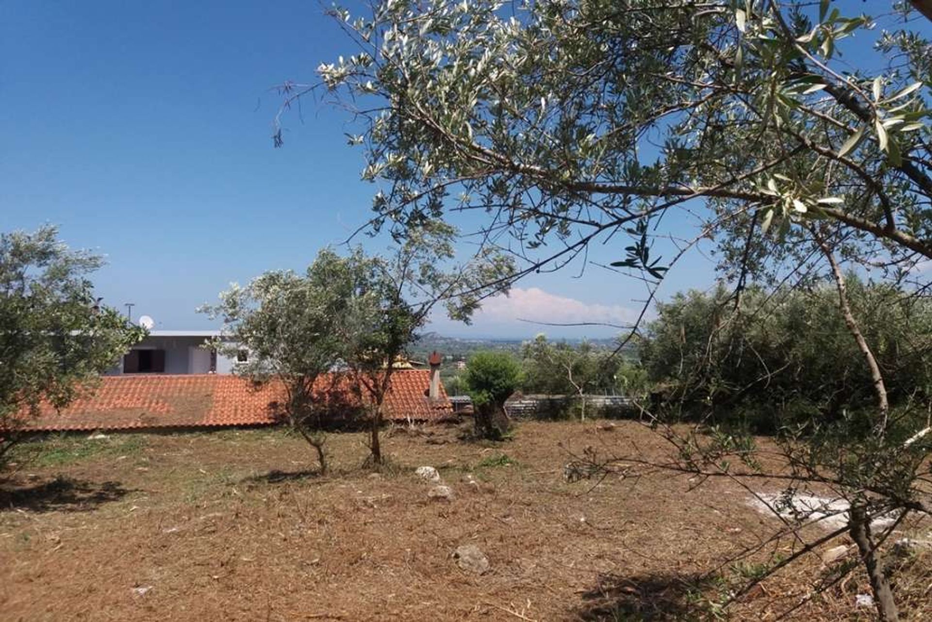 Land in Zakynthos, Zakinthos 10087706