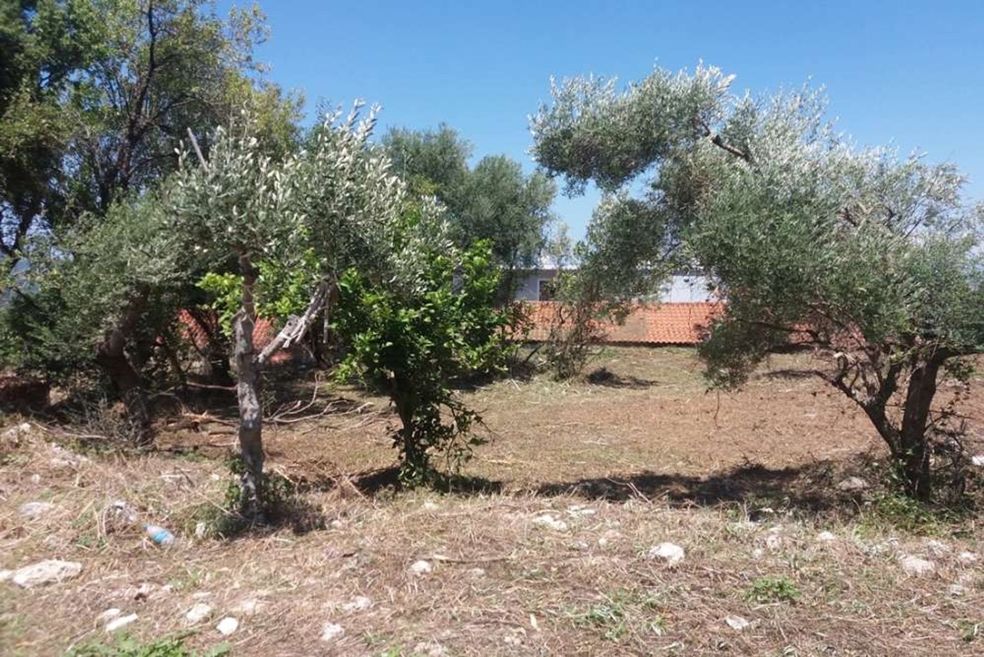 Land in Zakynthos, Zakinthos 10087706