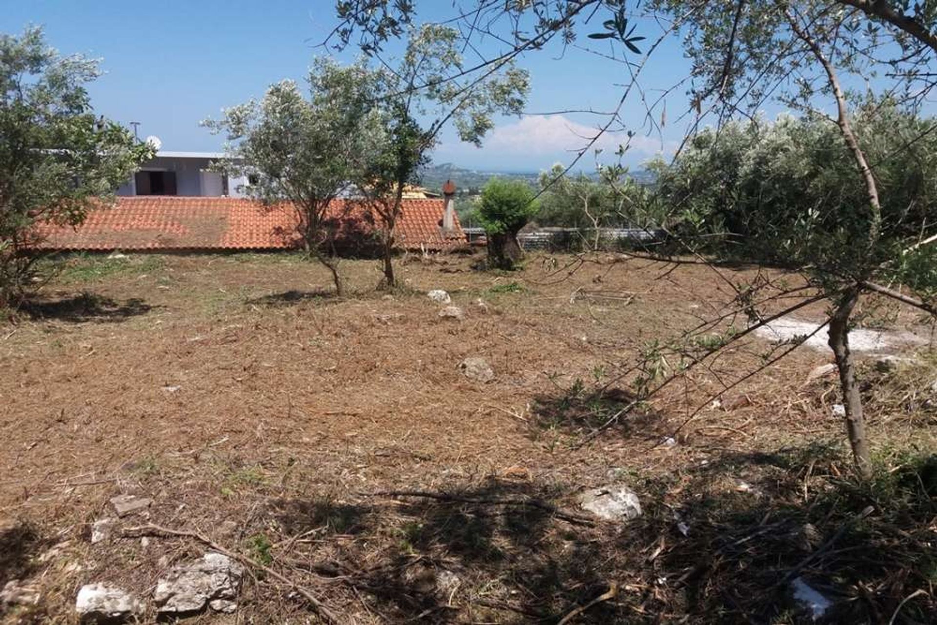 Land in Zakynthos, Zakinthos 10087706