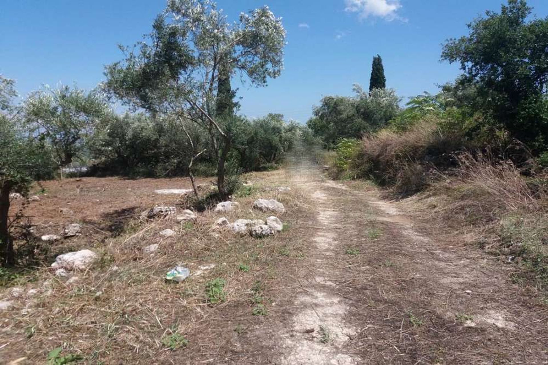 Land in Zakynthos, Zakinthos 10087706