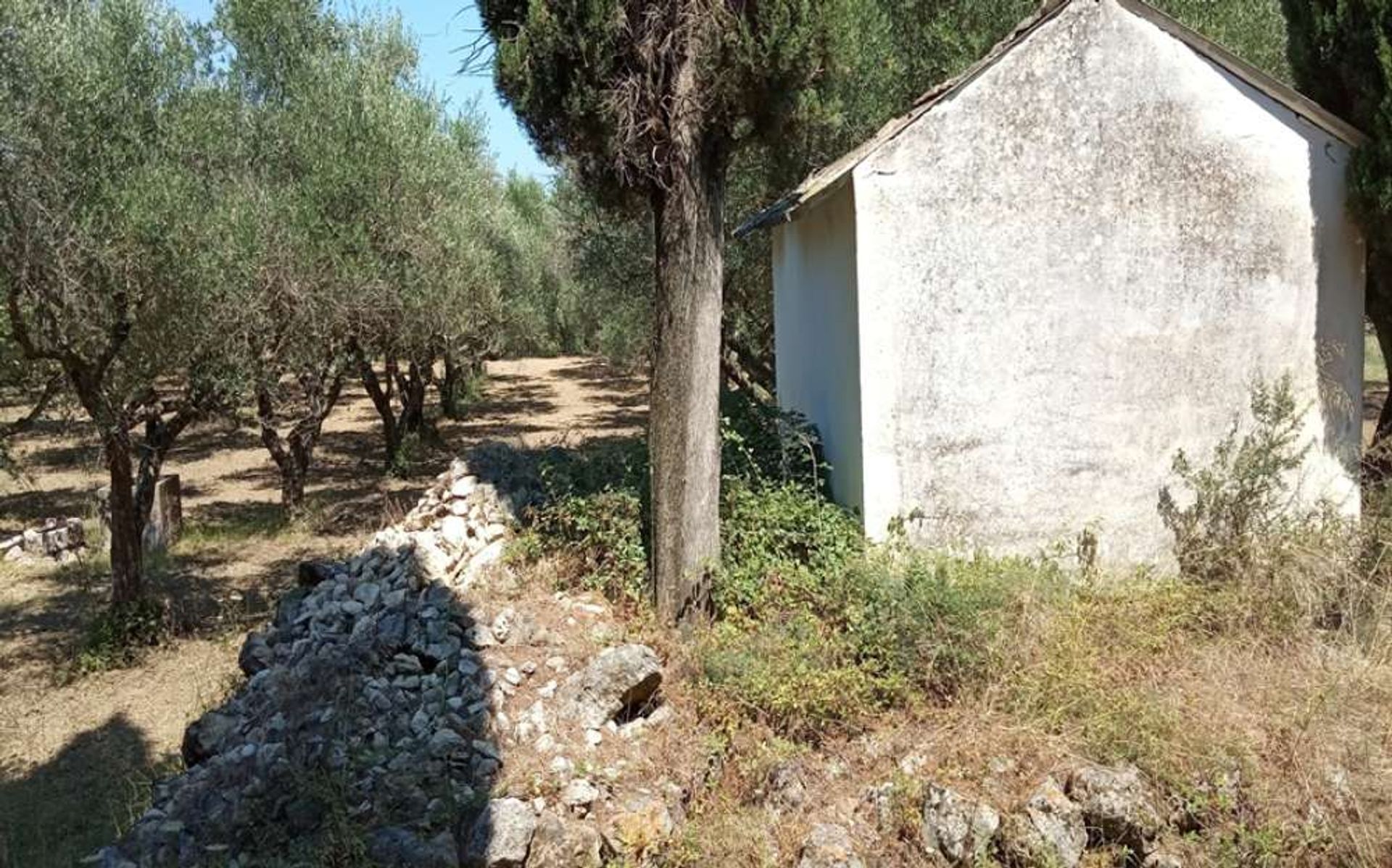 Tierra en Zakynthos, Zakinthos 10087709