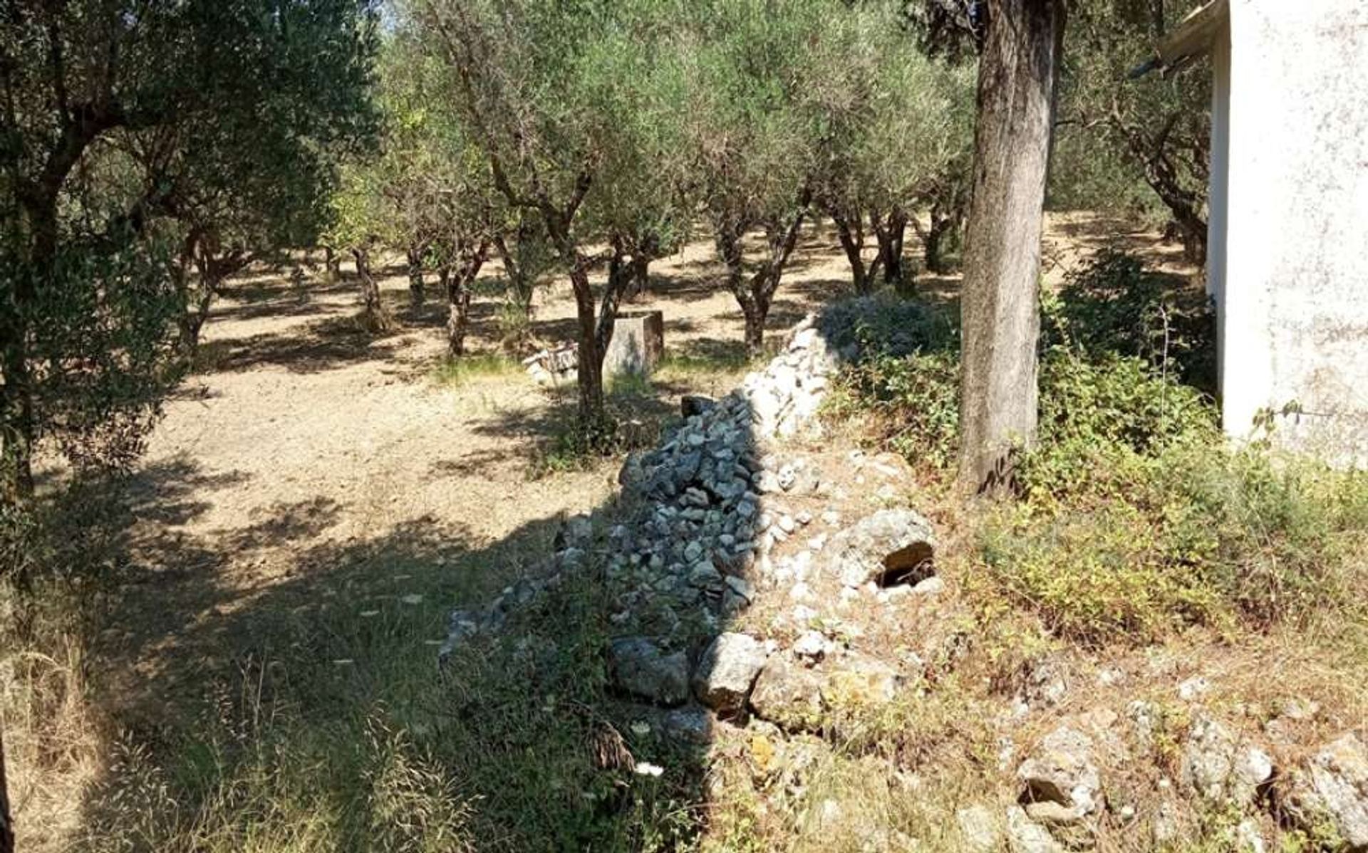 Tierra en Zakynthos, Zakinthos 10087709