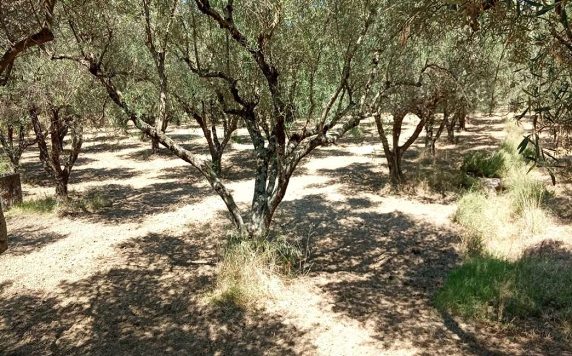 Tierra en Zakynthos, Zakinthos 10087709