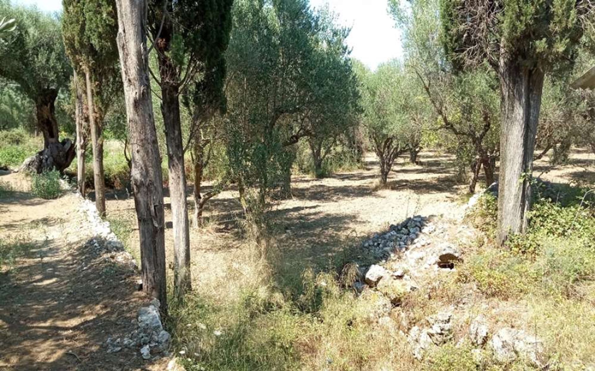 Tierra en Zakynthos, Zakinthos 10087709