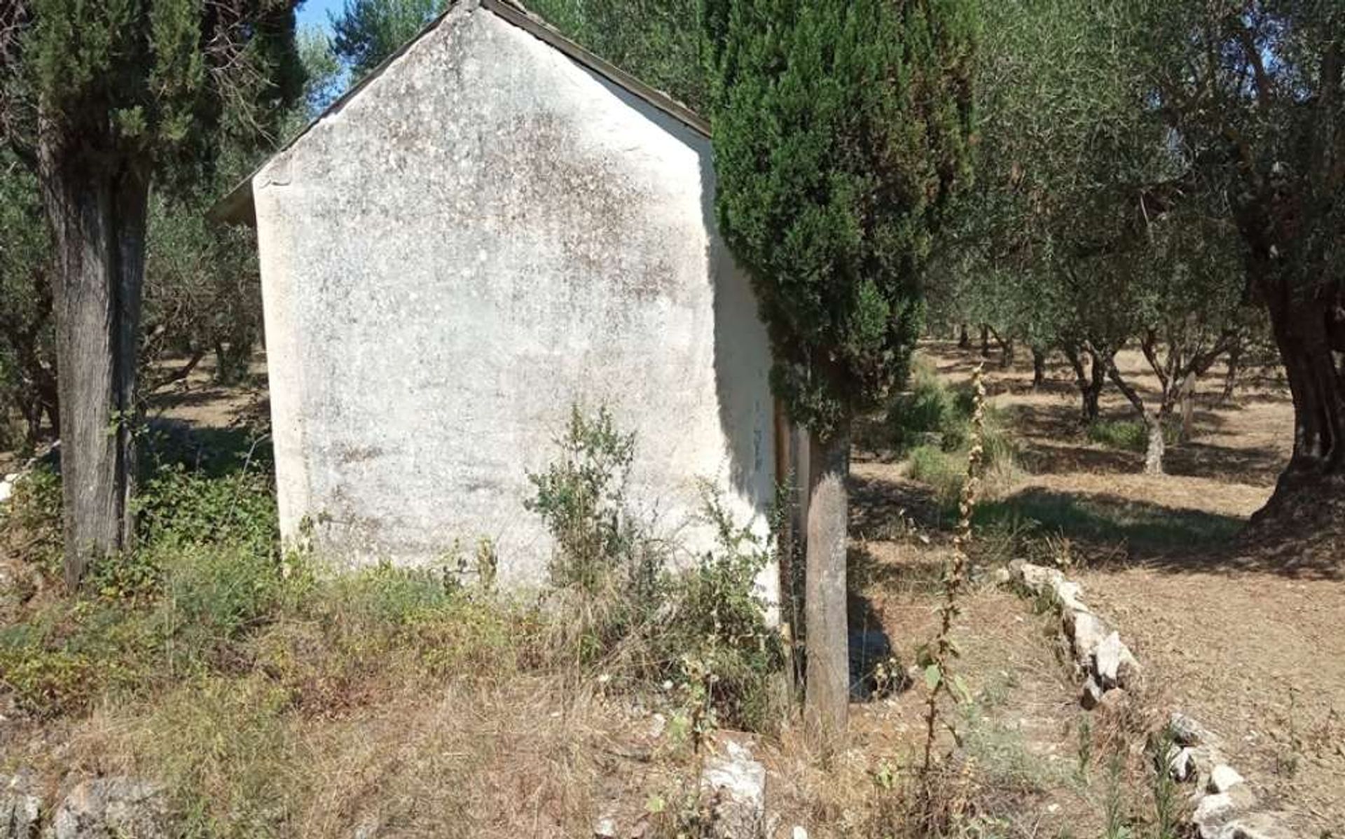 Tierra en Zakynthos, Zakinthos 10087709