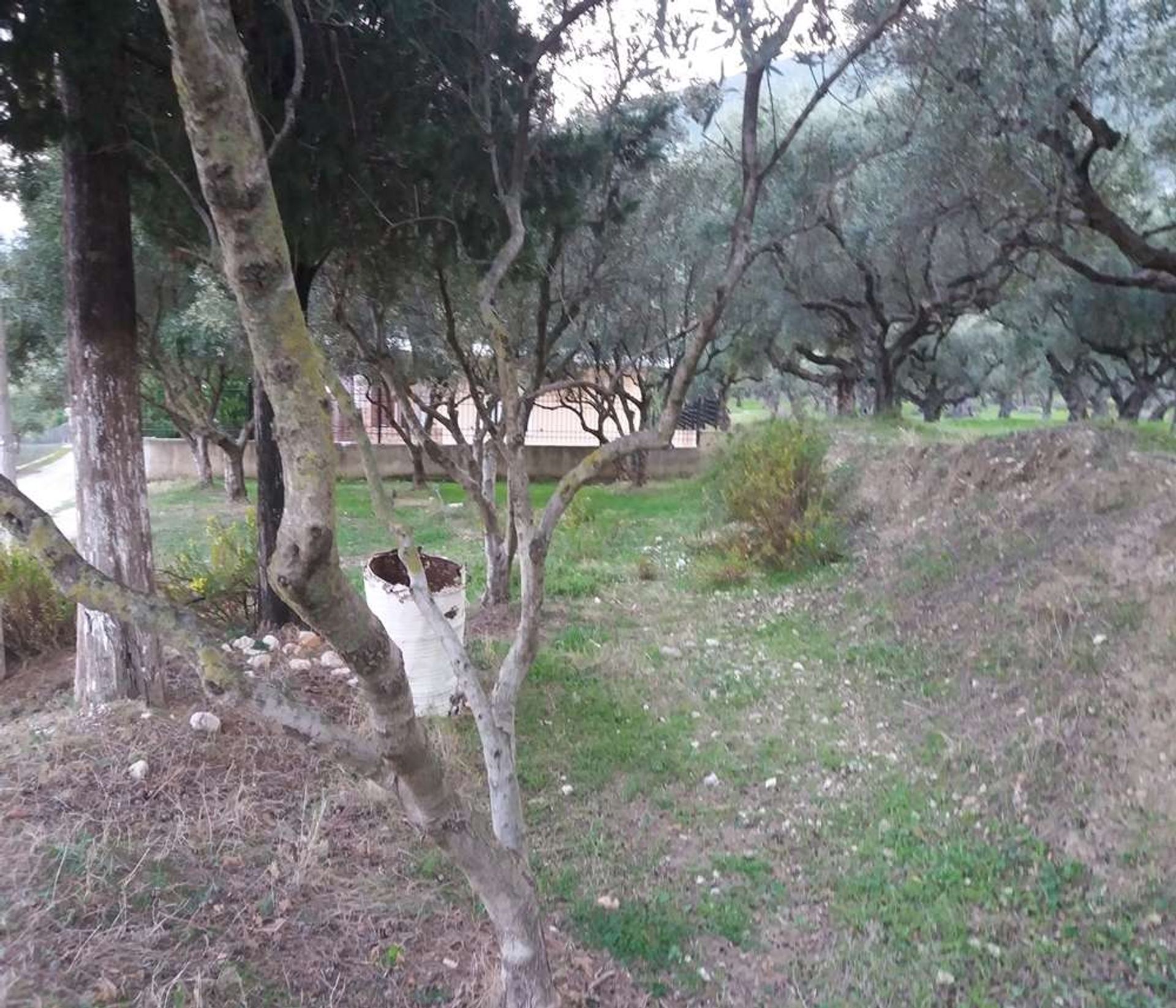 Land in Zakynthos, Zakinthos 10087711