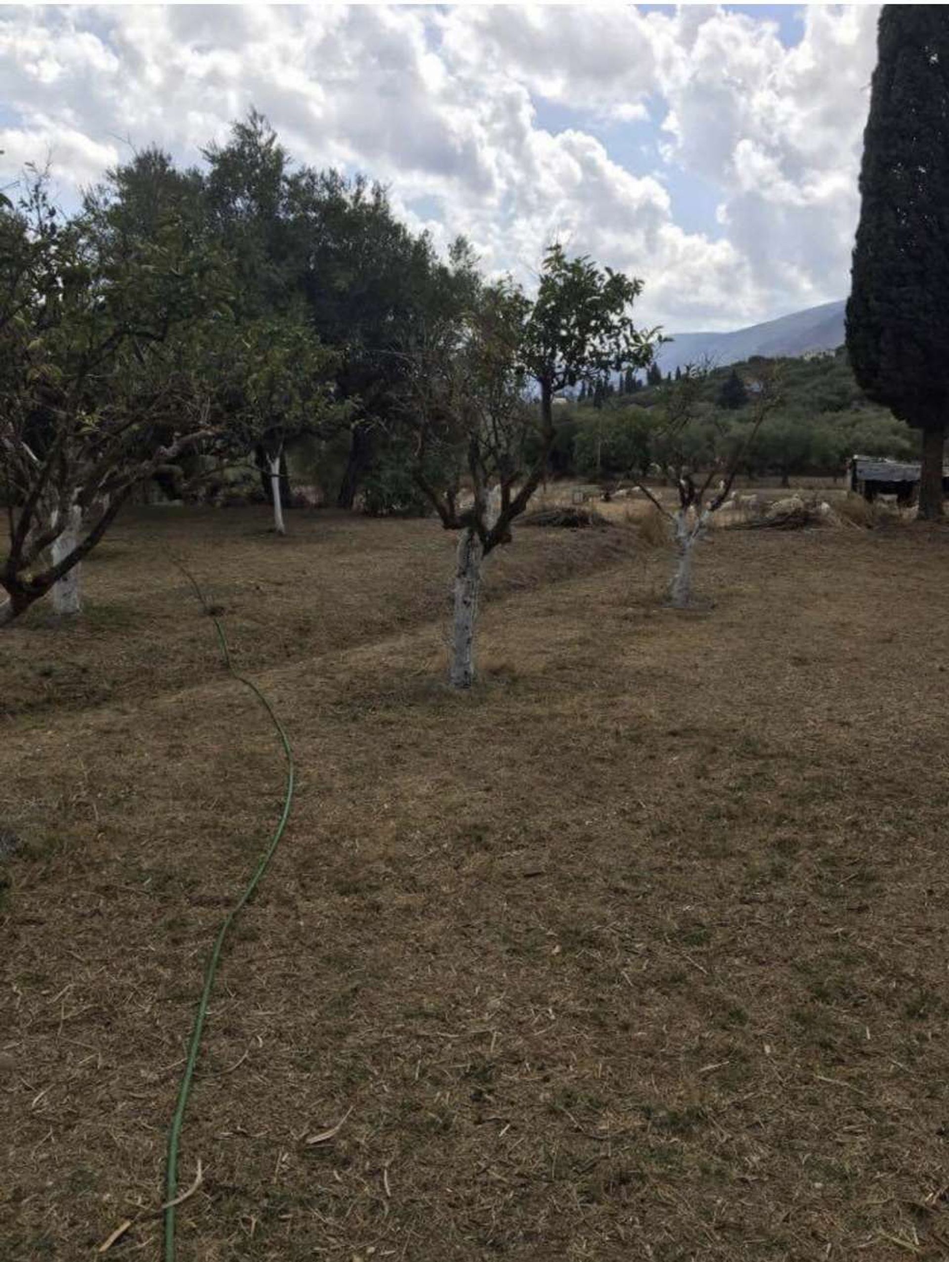 Land i Zakynthos, Zakinthos 10087712